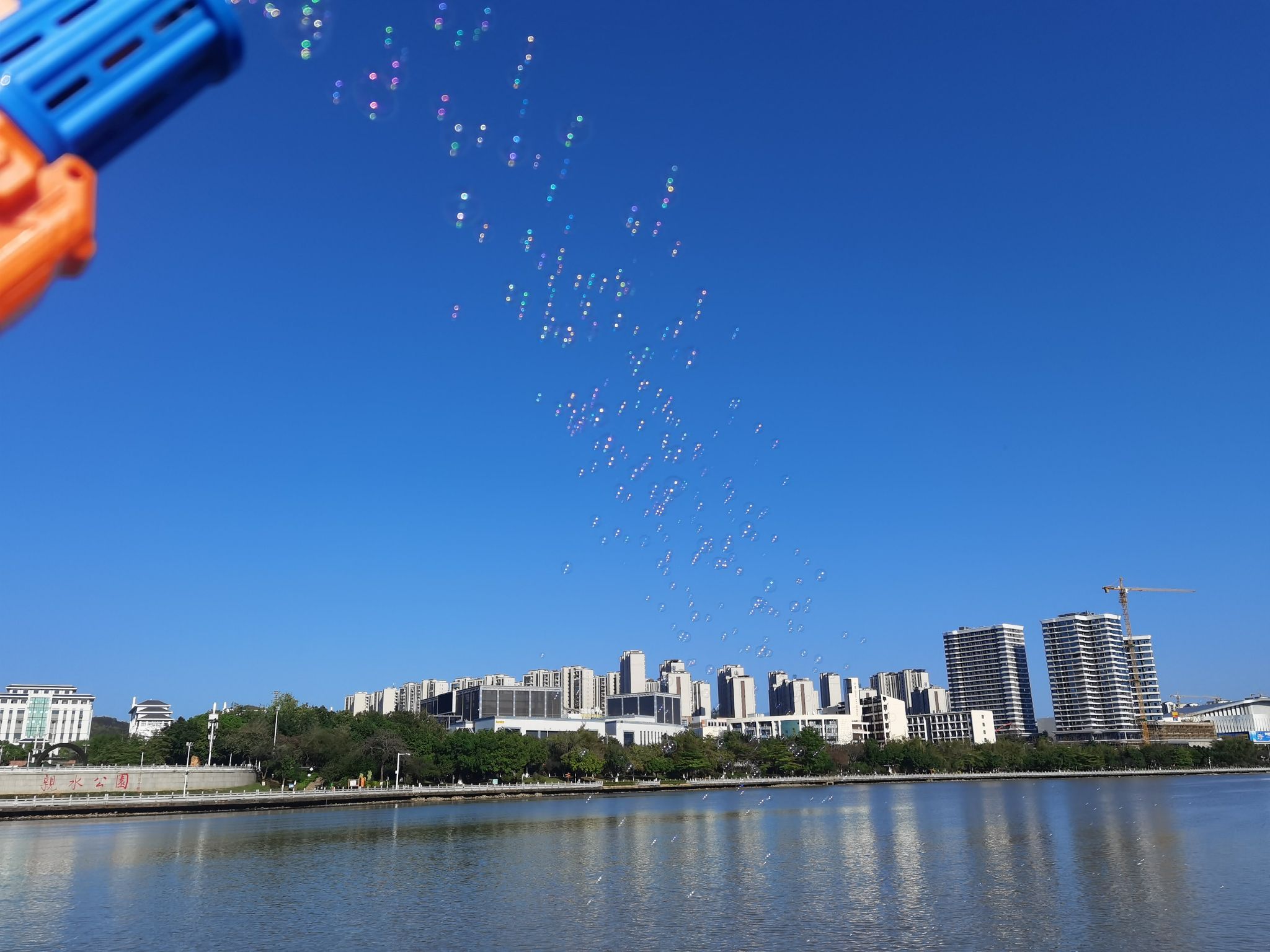 亲水公园旅行图片 3