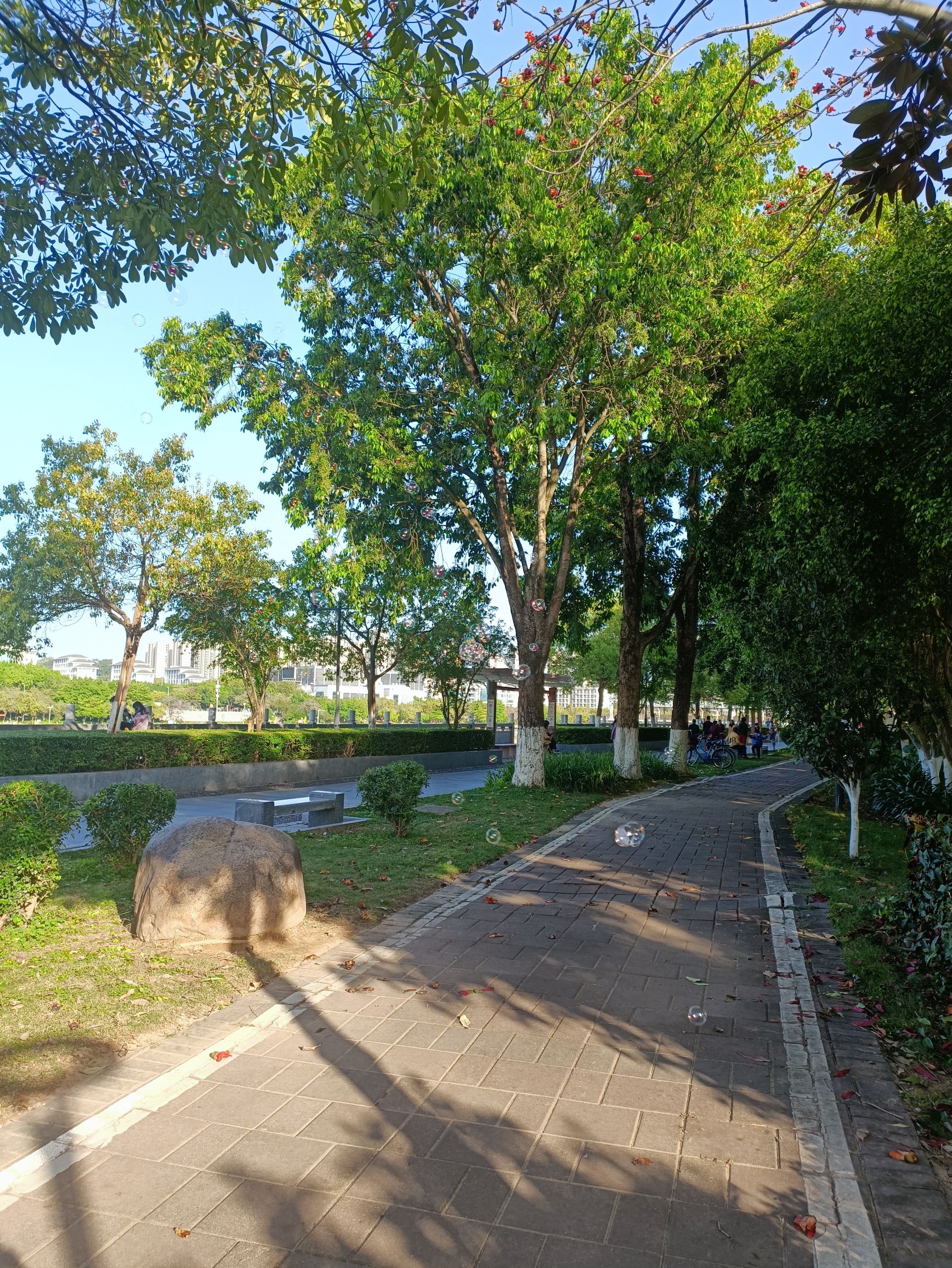 亲水公园旅行图片 2