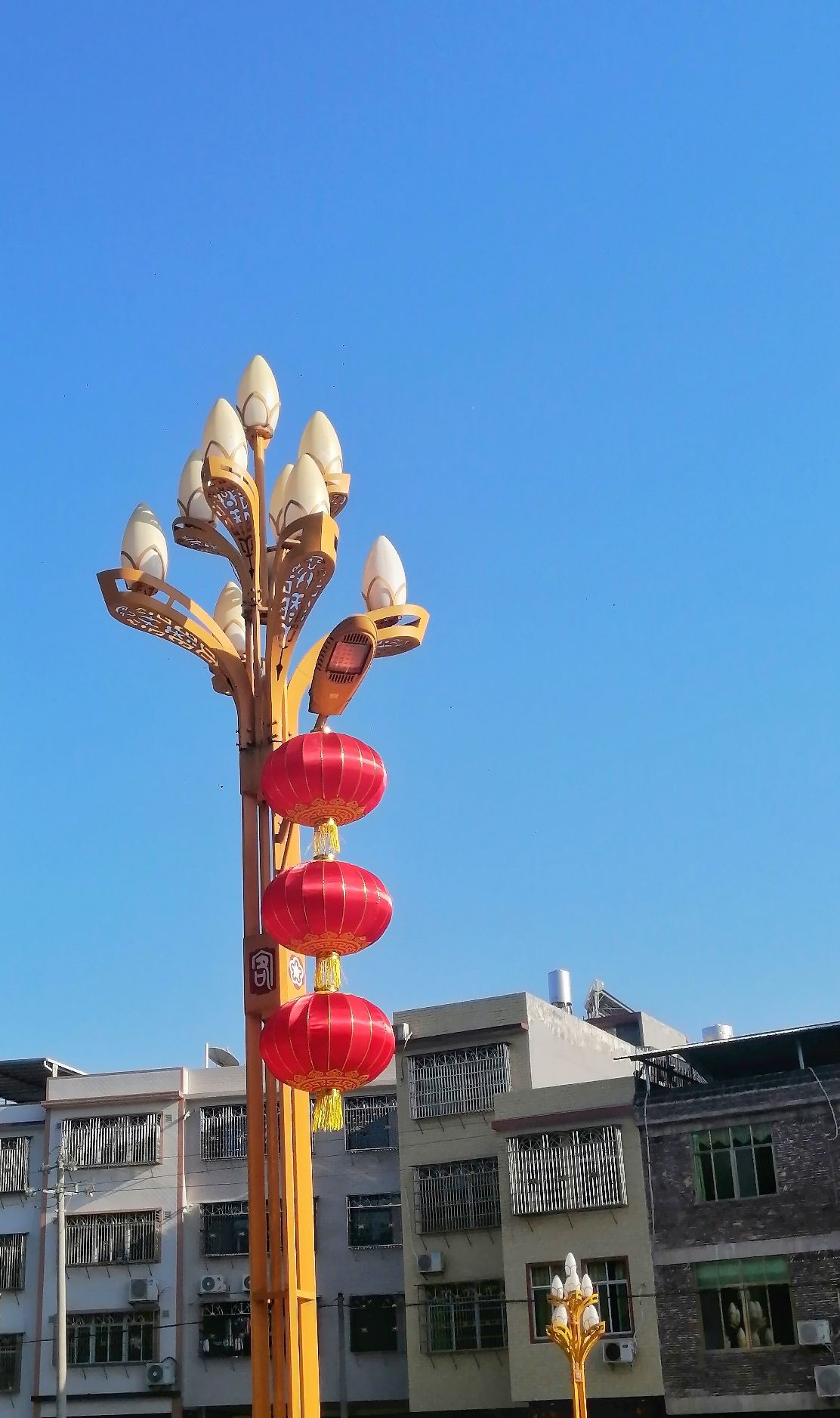 畲江公园旅行图片 3