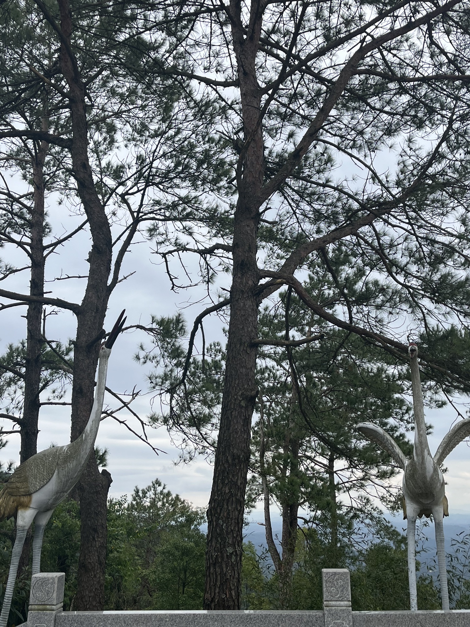 白鹤仙师旅游区旅行图片 1