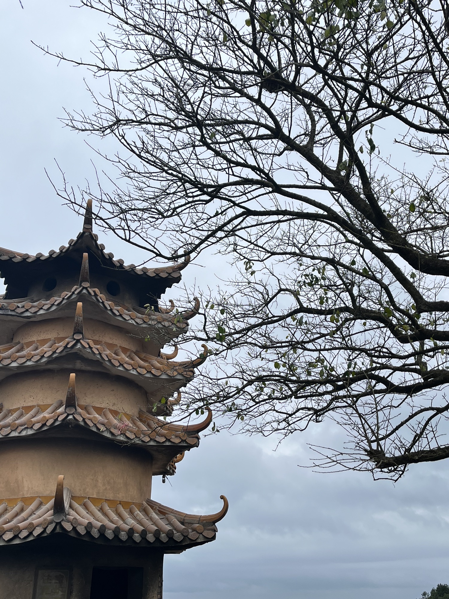 白鹤仙师旅游区旅行图片 2