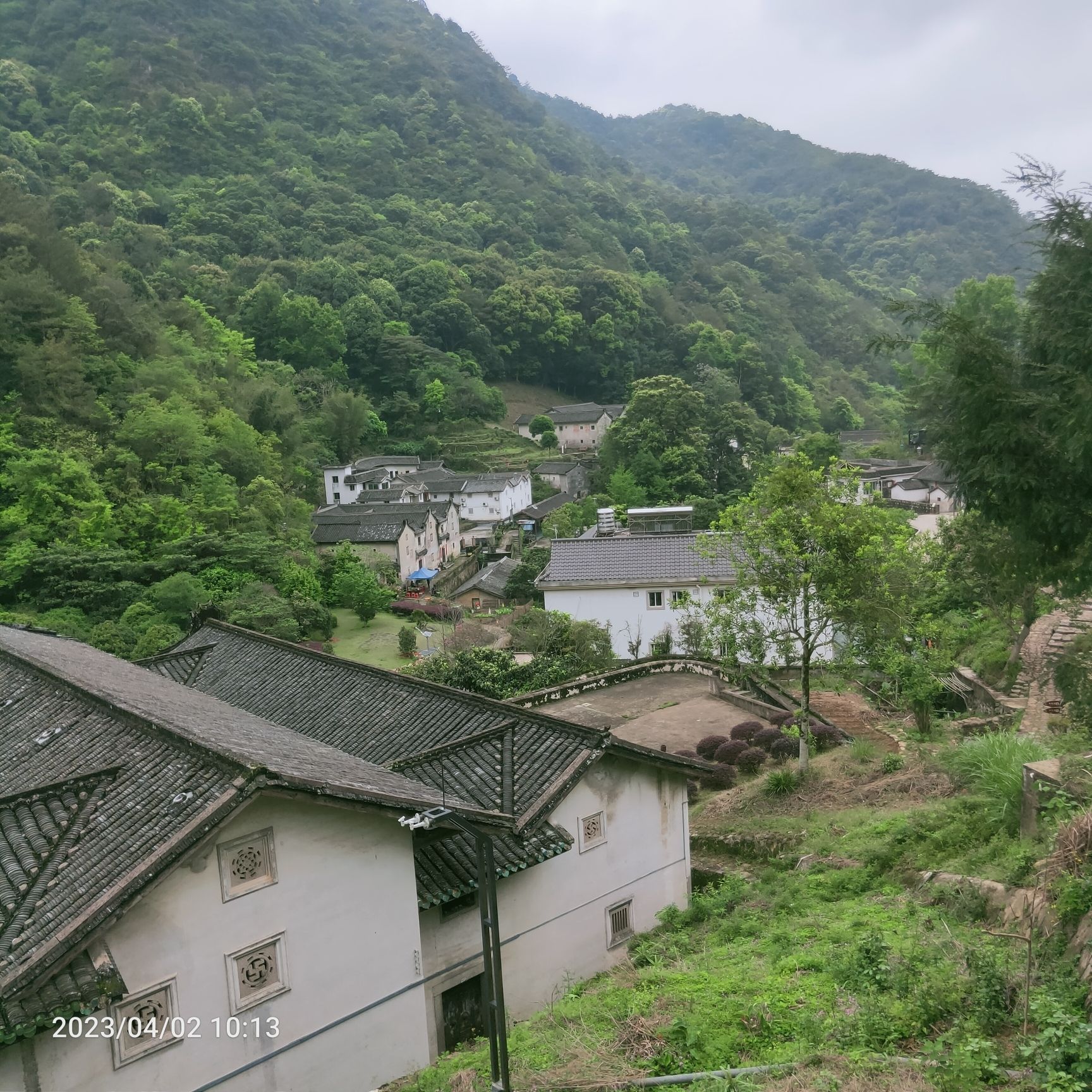 梅州雁南飞茶田景区旅行图片 1