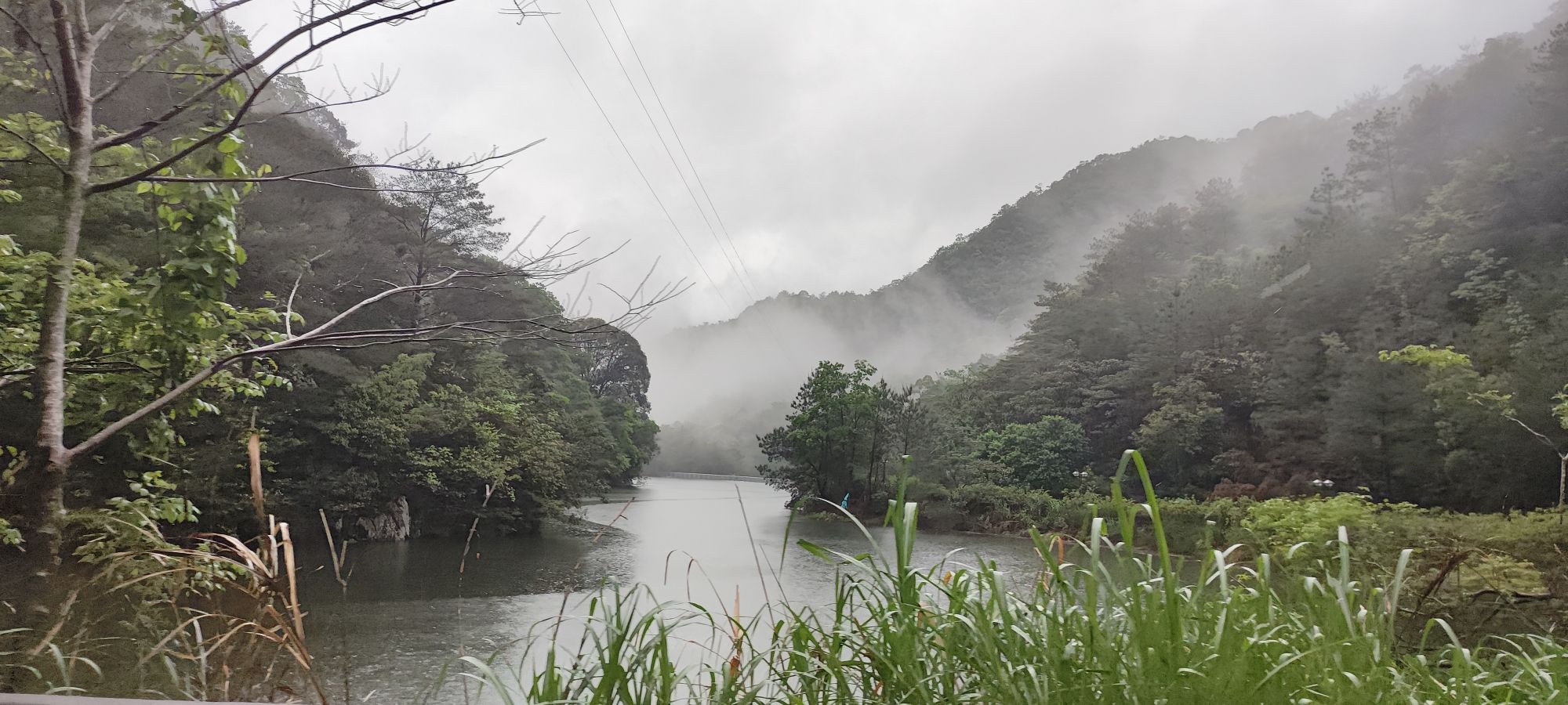 梅州雁南飞茶田景区旅行图片 2
