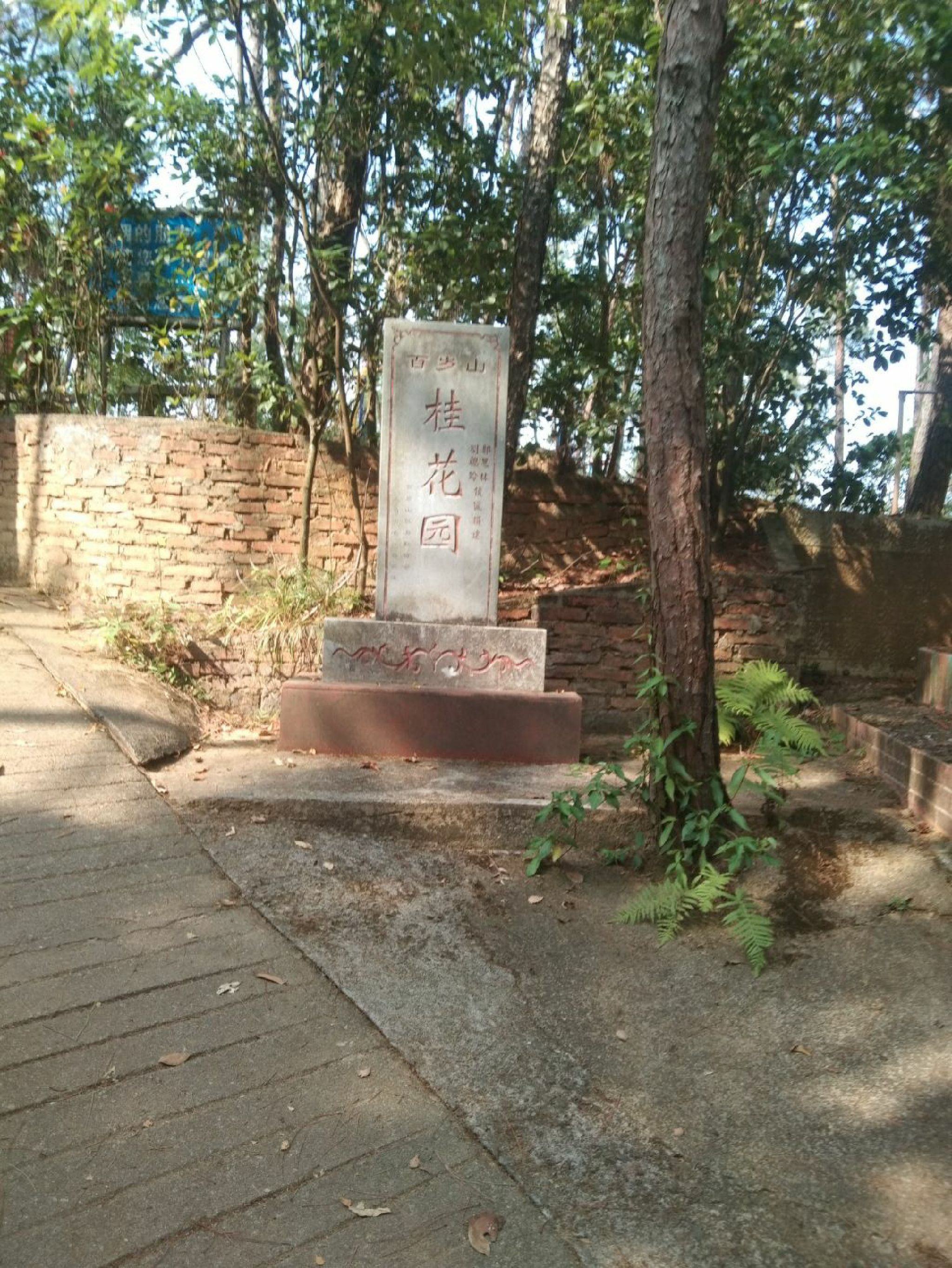 百岁山旅行图片 3