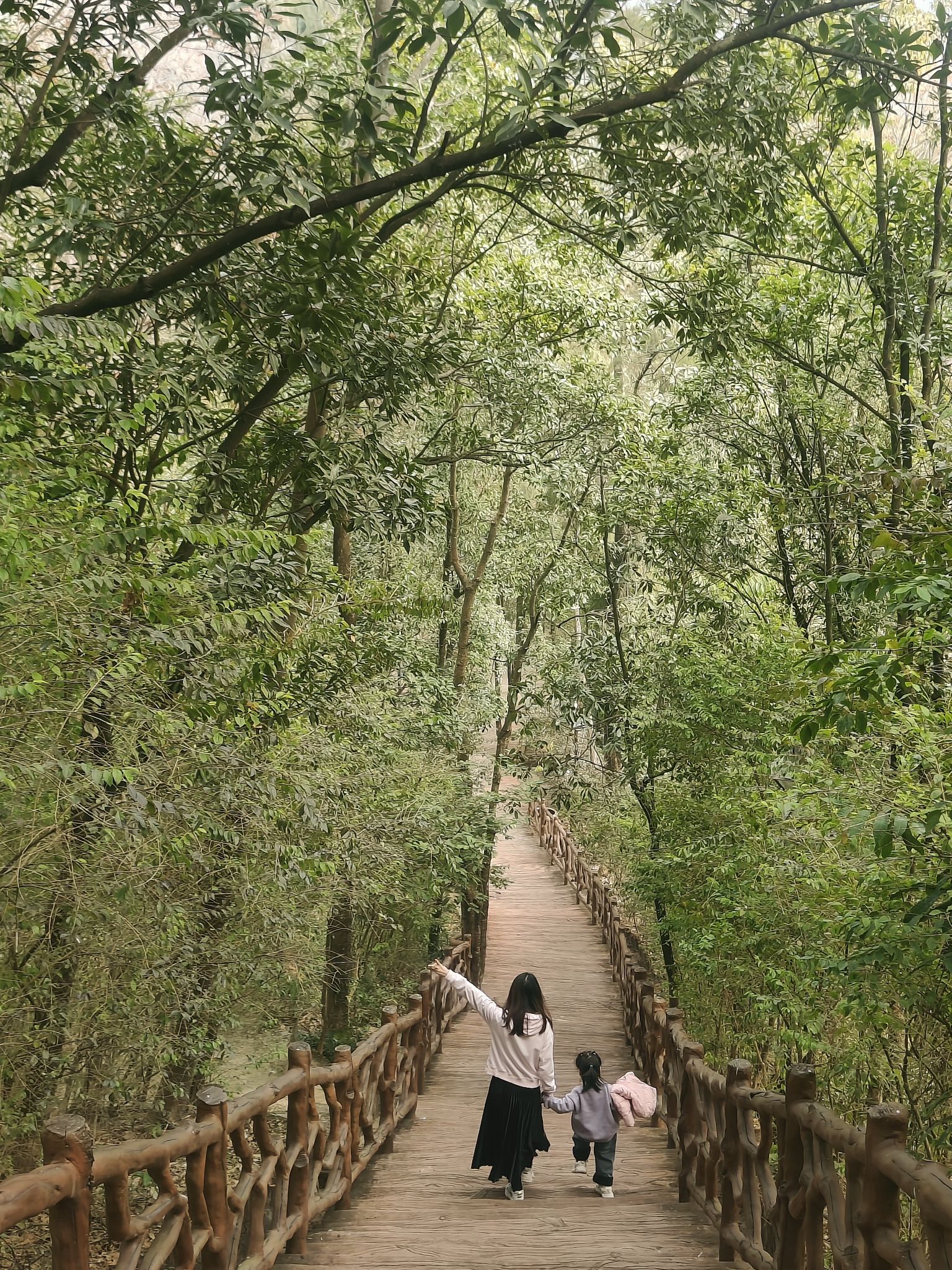 百岁山旅行图片 3