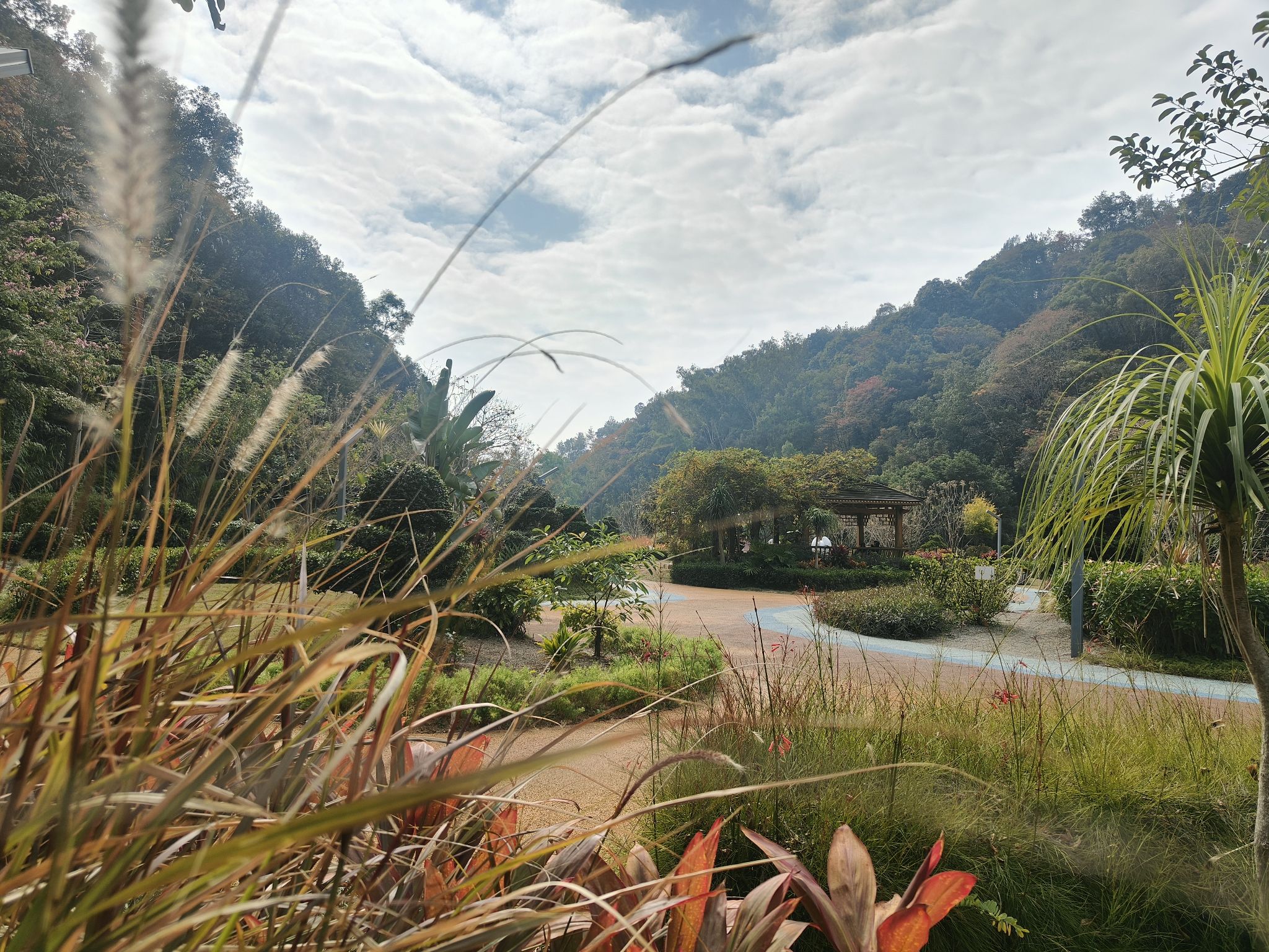 百岁山旅行图片 1