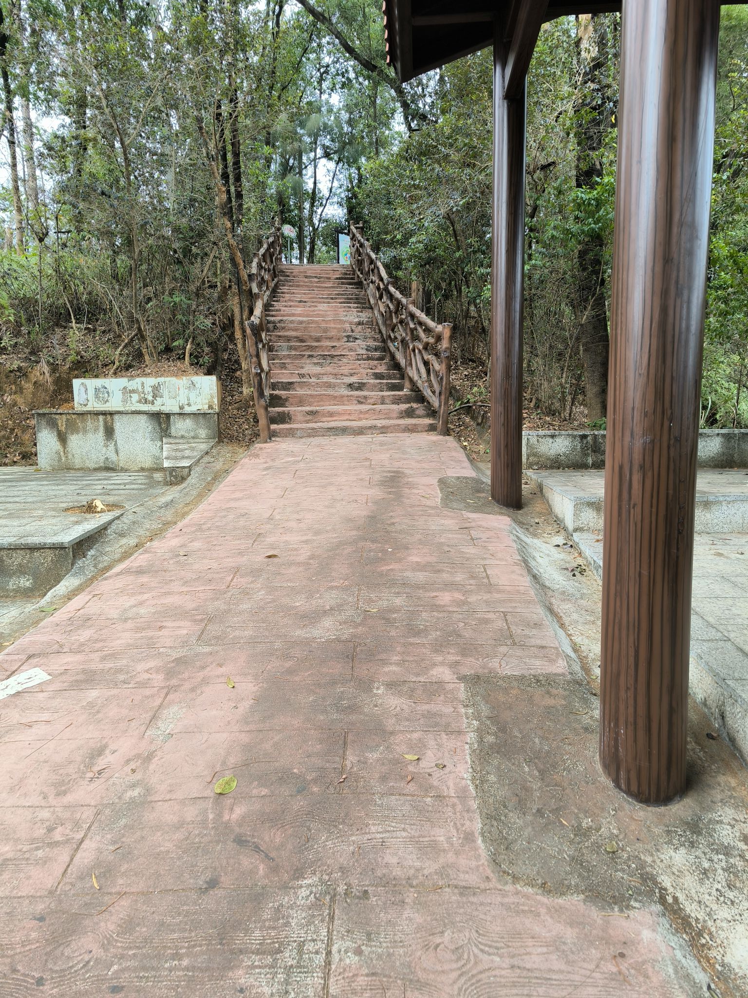 百岁山旅行图片 3