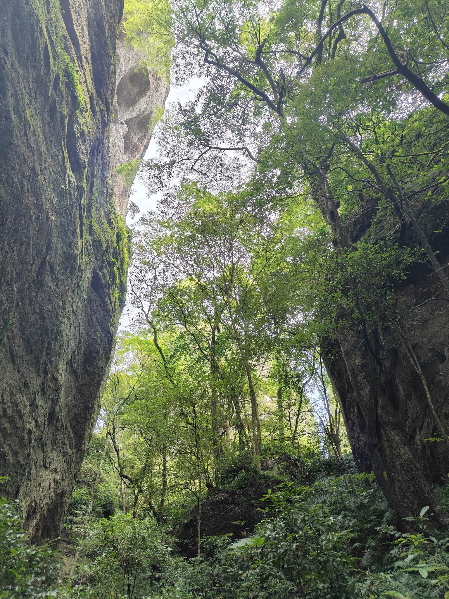 五指石景区旅行图片 2