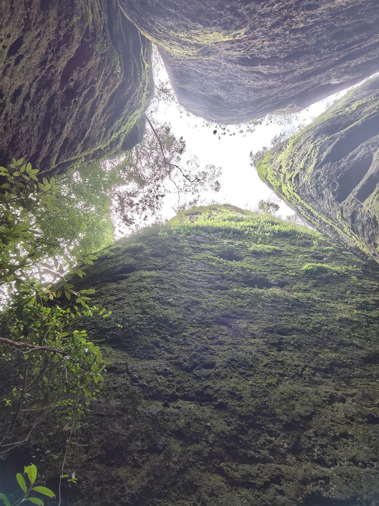 五指石景区旅行图片 3