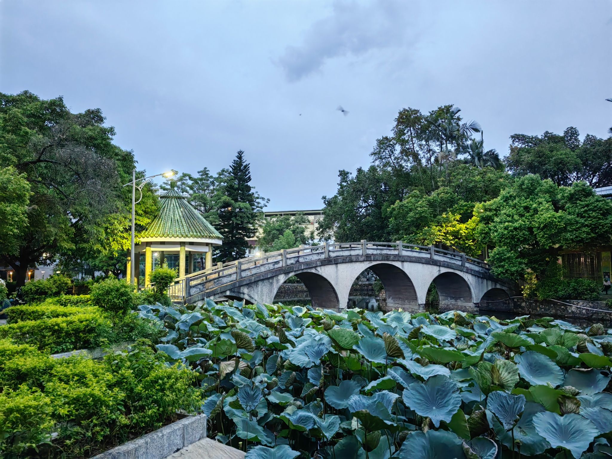 兴宁人民公园旅行图片 1