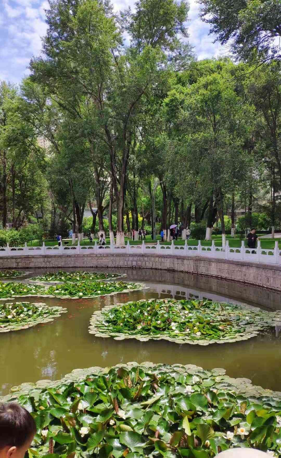 兴宁人民公园旅行图片 1