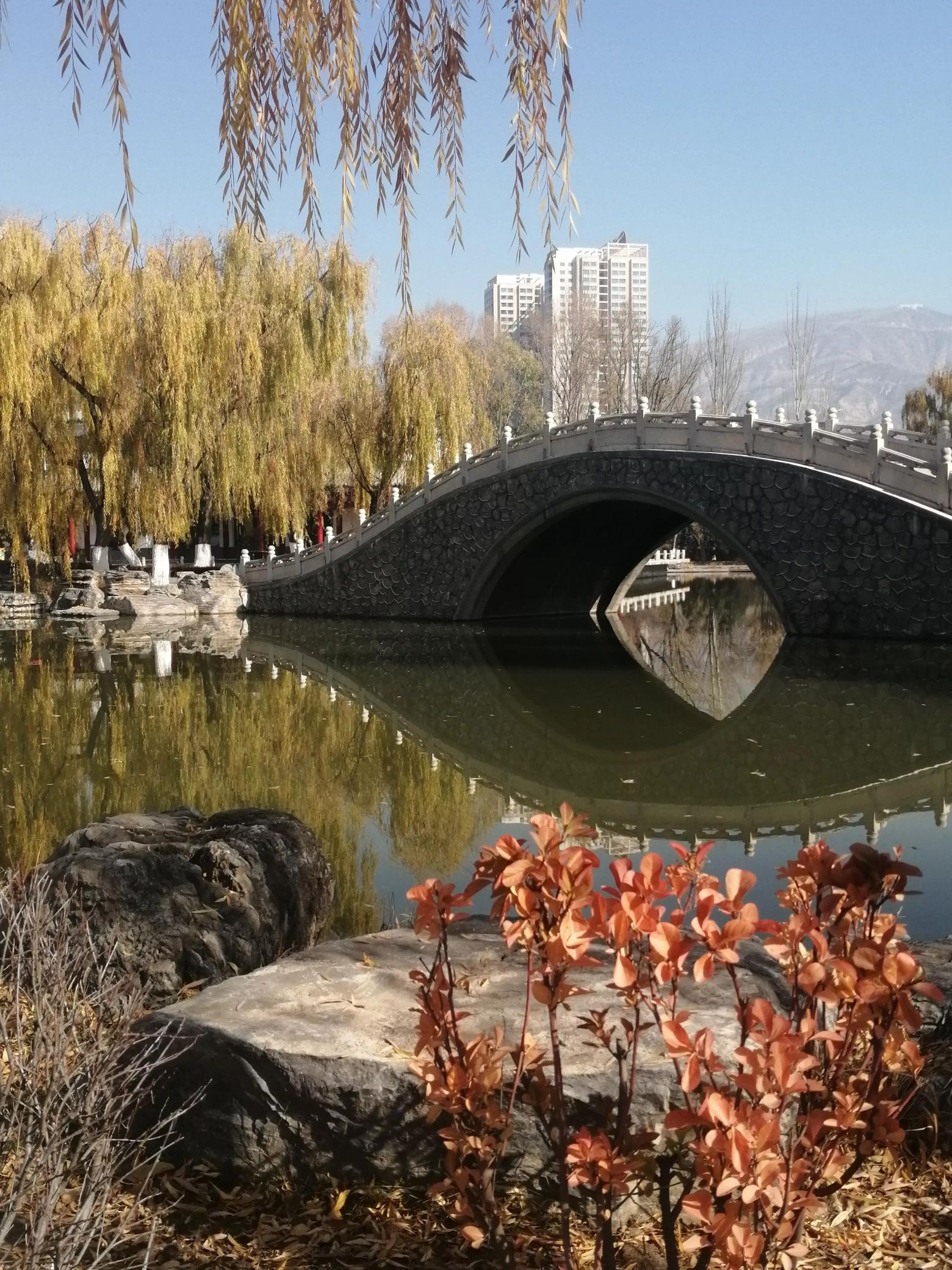 兴宁人民公园旅行图片 3