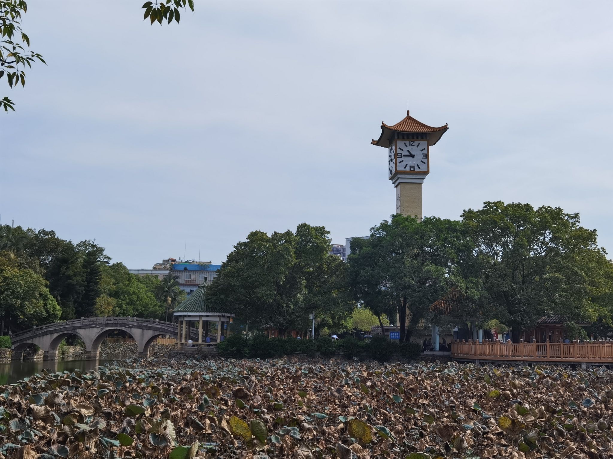 兴宁人民公园旅行图片 1