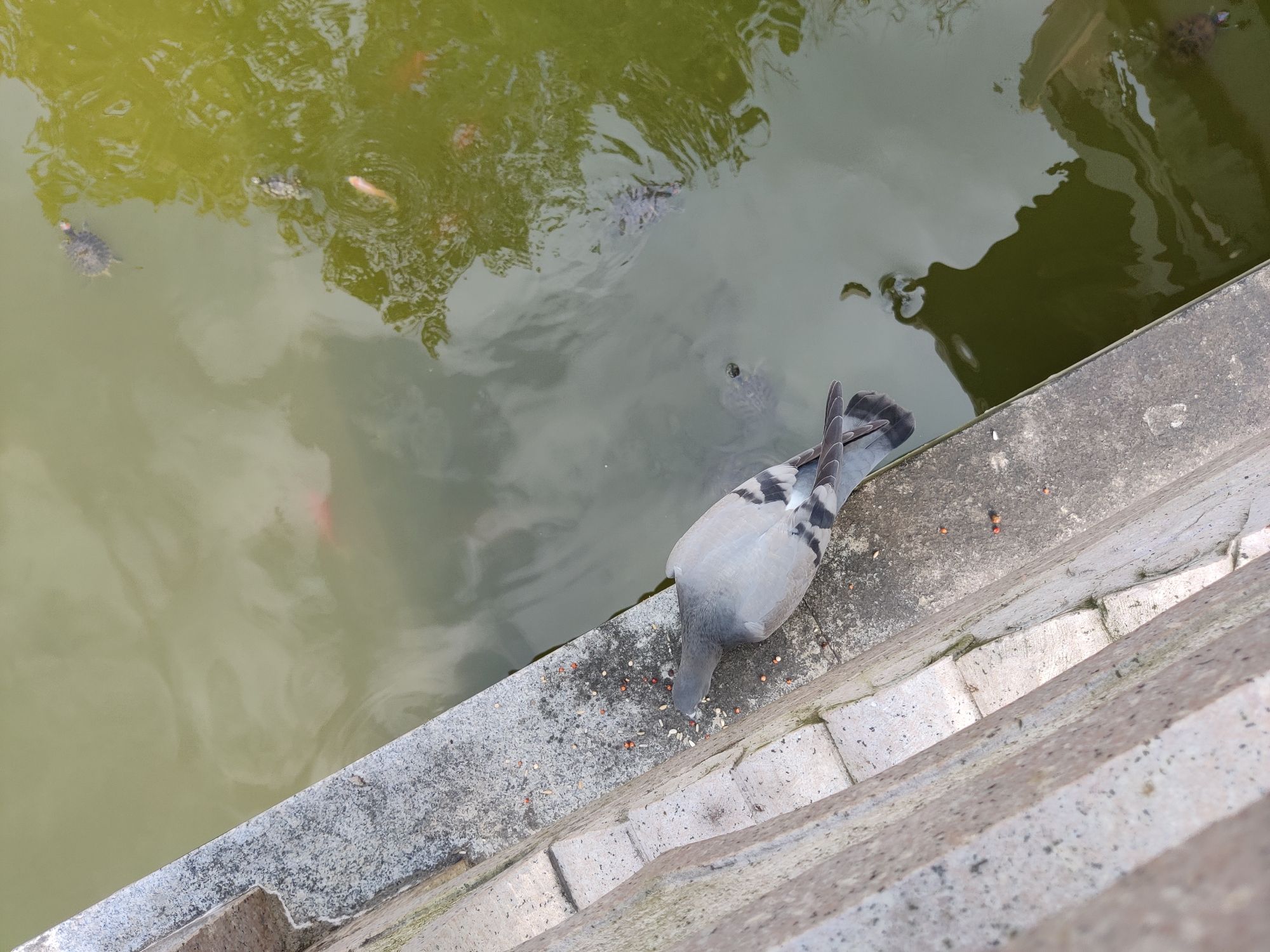客家公园旅行图片 2