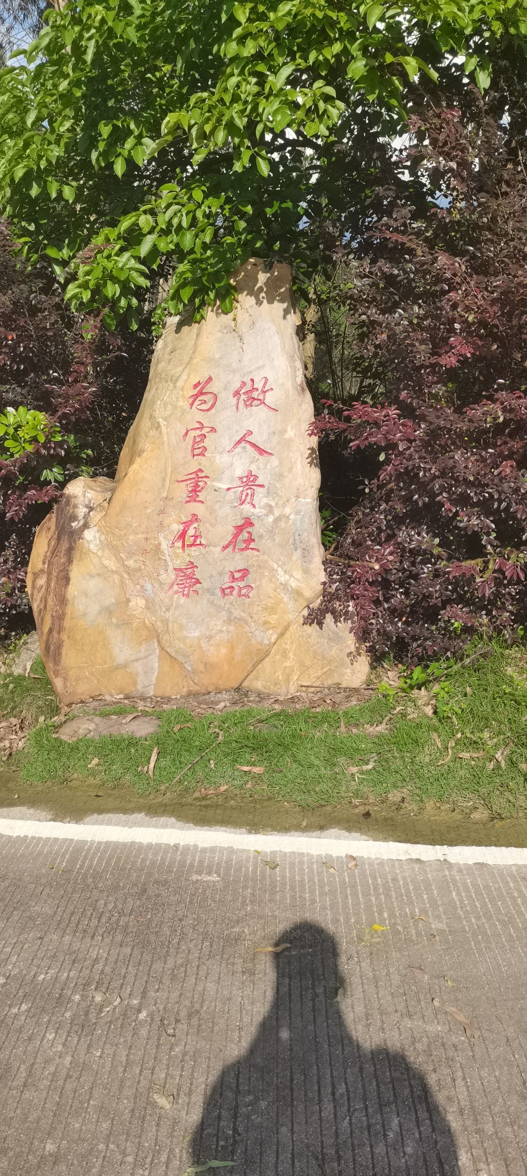 广东蒲丽顶森林公园旅行图片 2