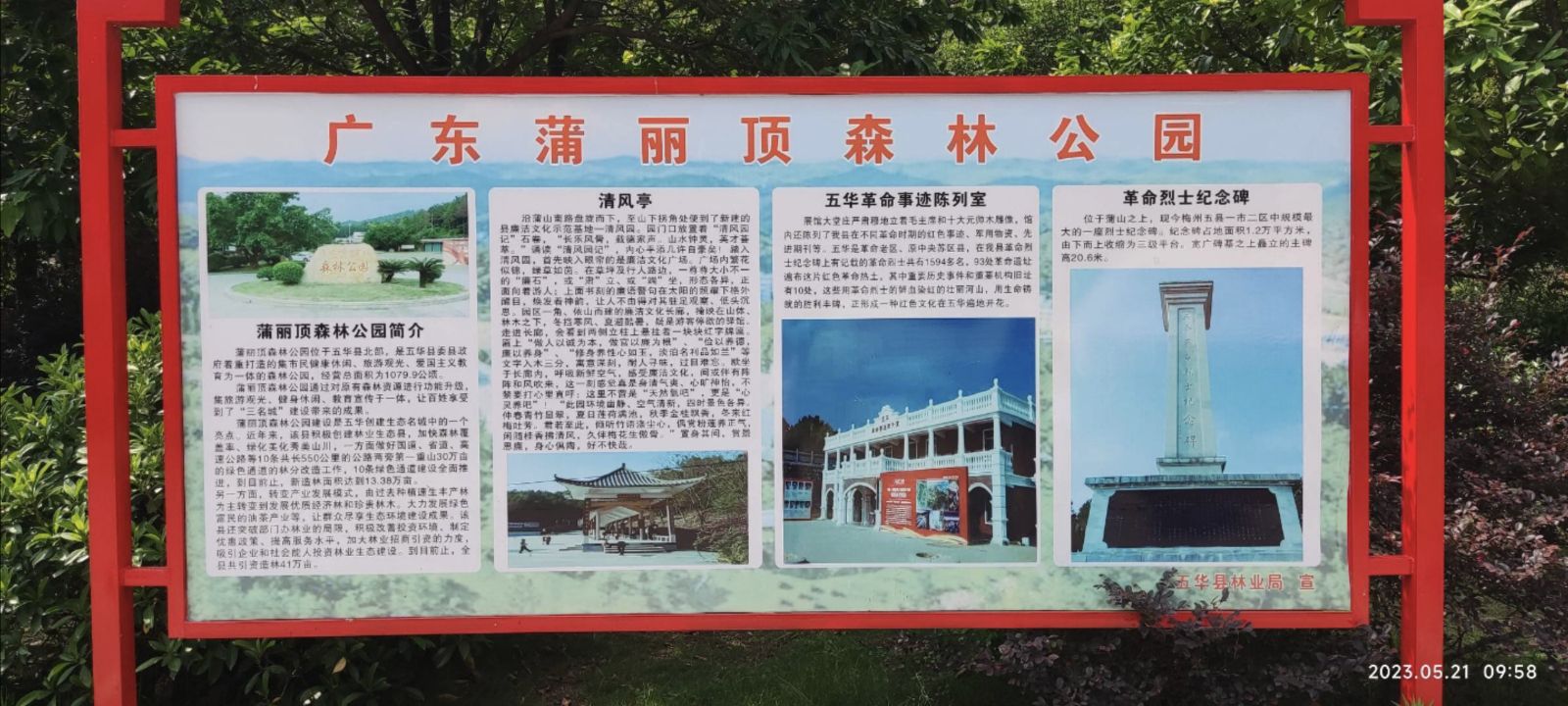 广东蒲丽顶森林公园旅行图片 2