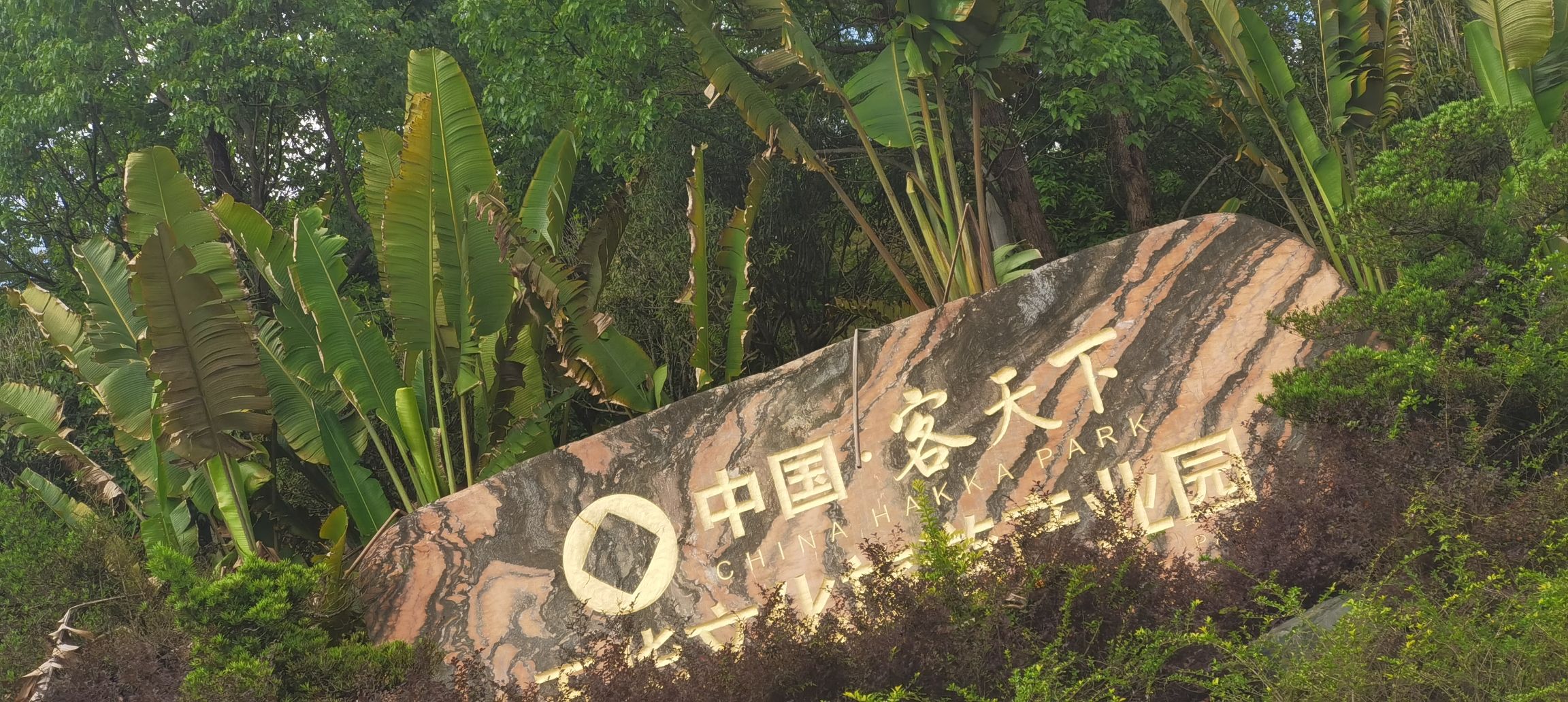 广东蒲丽顶森林公园旅行图片 3
