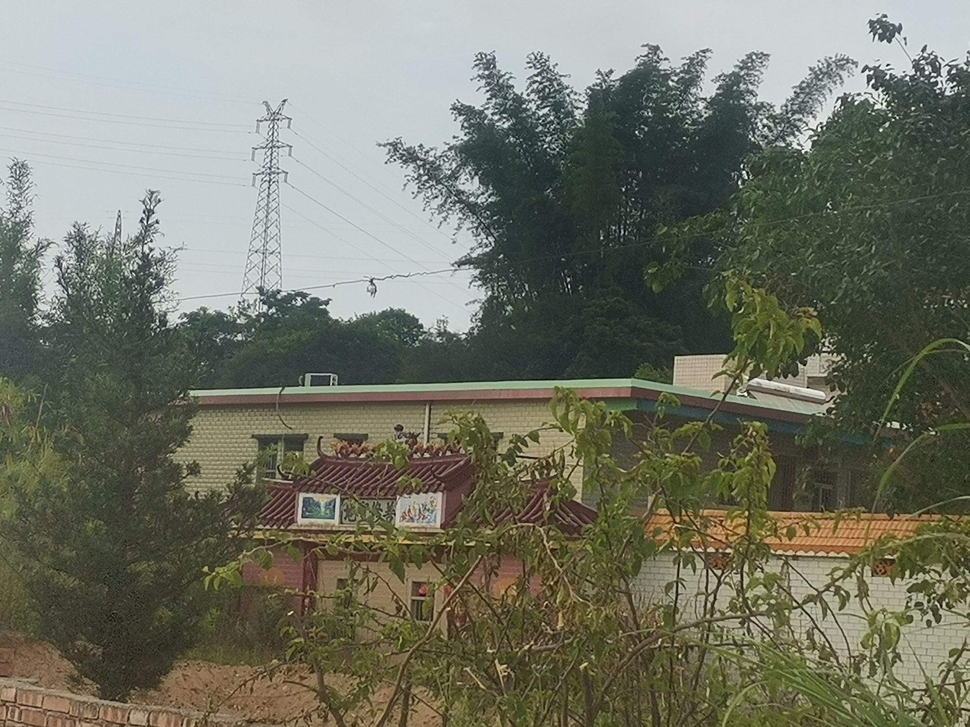 广东蒲丽顶森林公园旅行图片 1