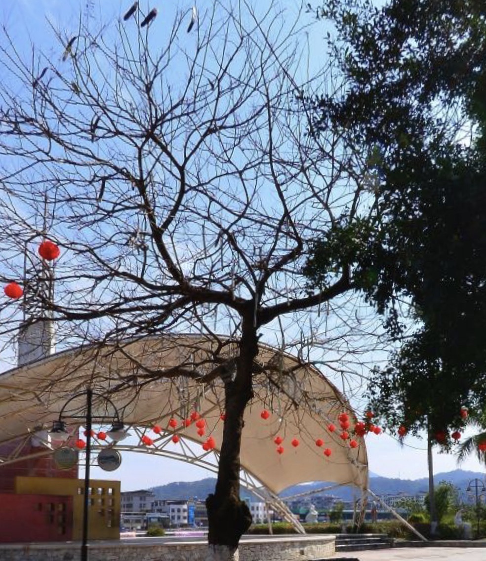 滨江公园旅行图片 3