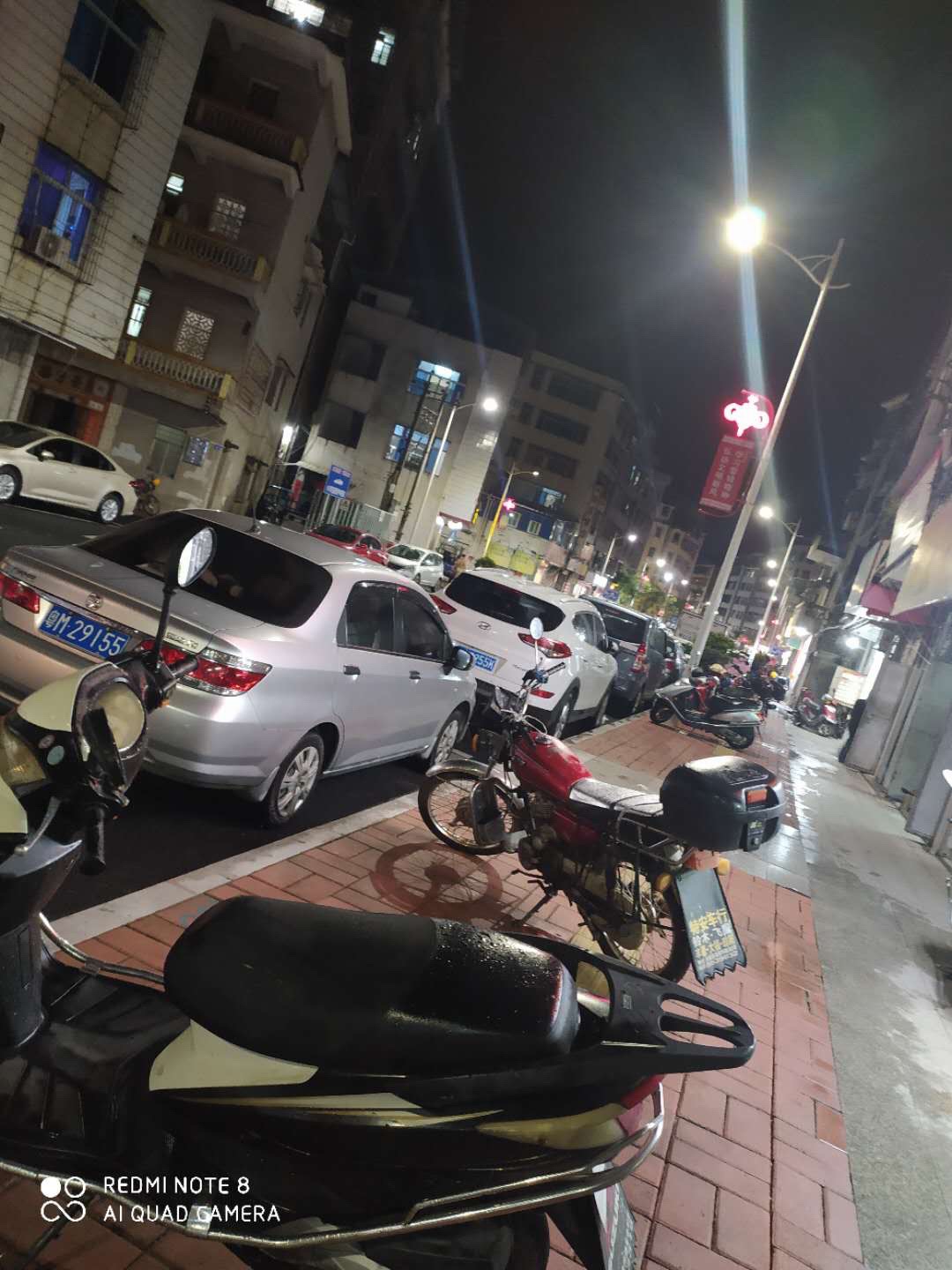 滨江公园旅行图片 1