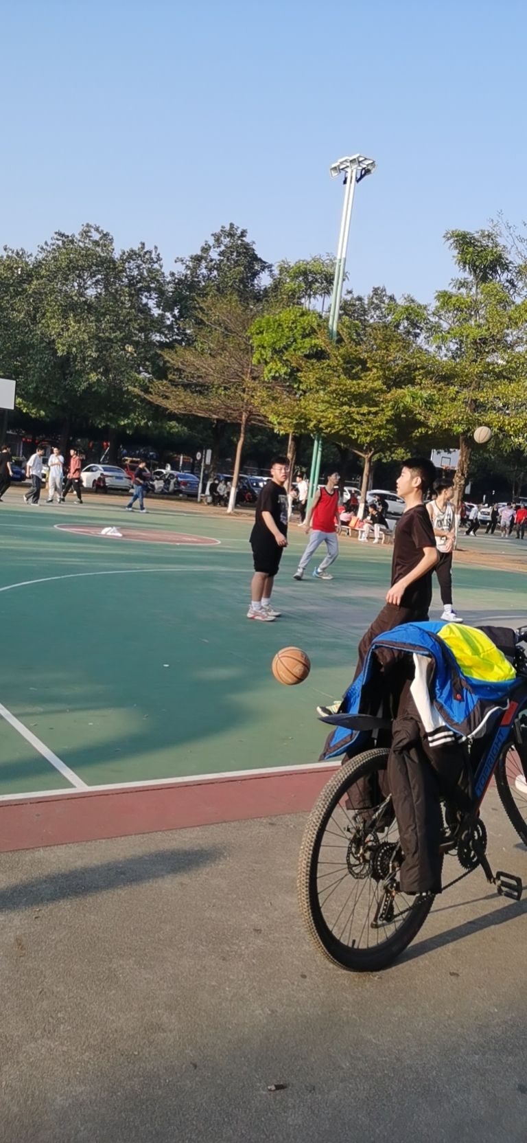 明珠体育公园旅行图片 2