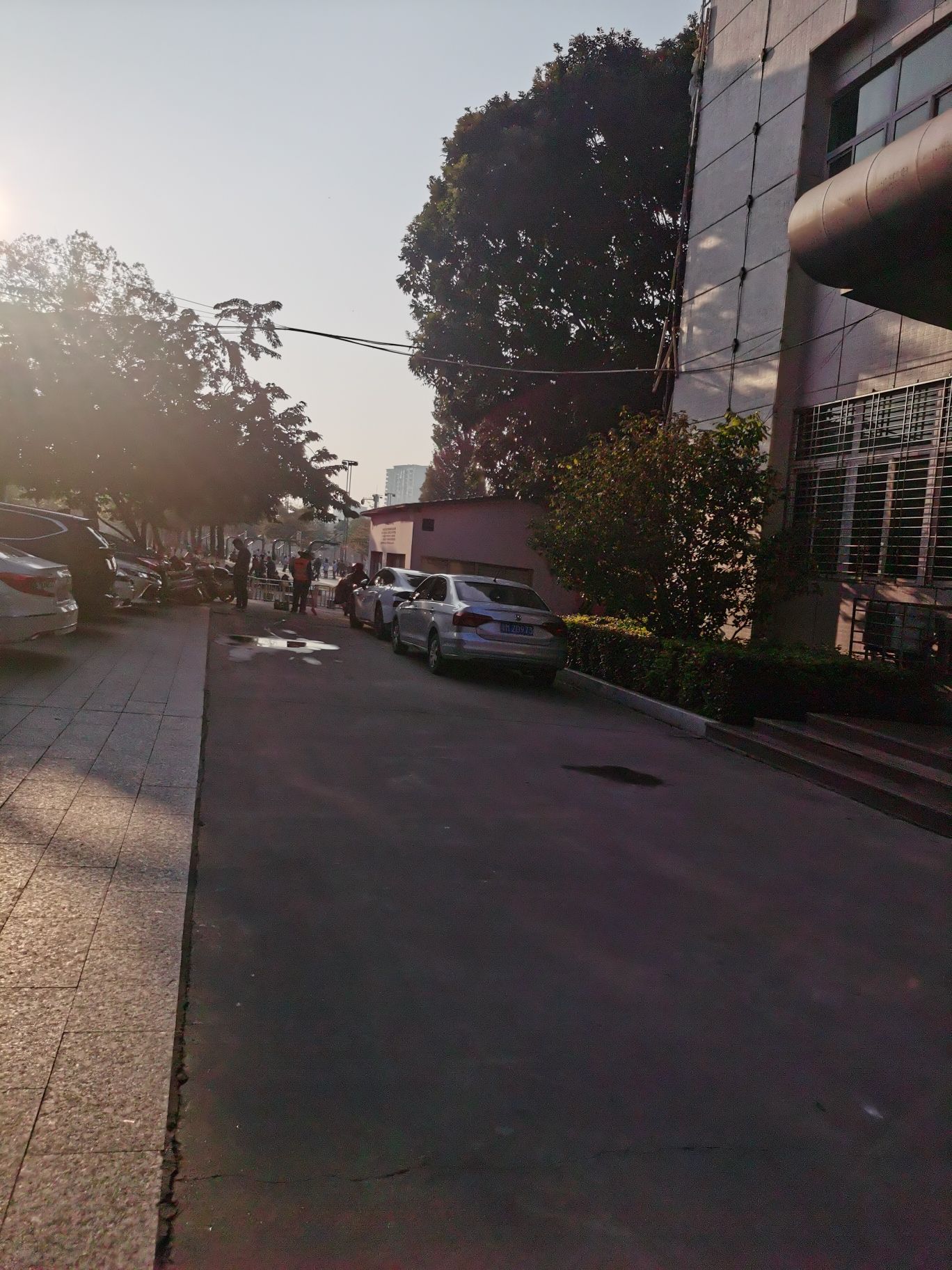 明珠体育公园旅行图片 1
