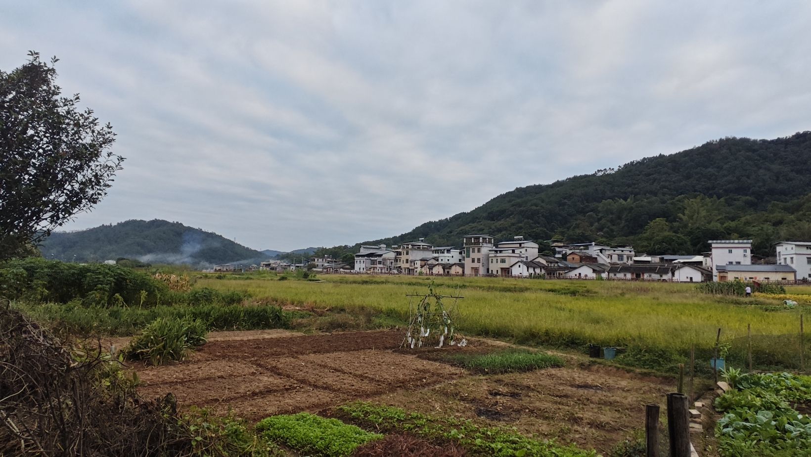 侨乡村旅行图片 3