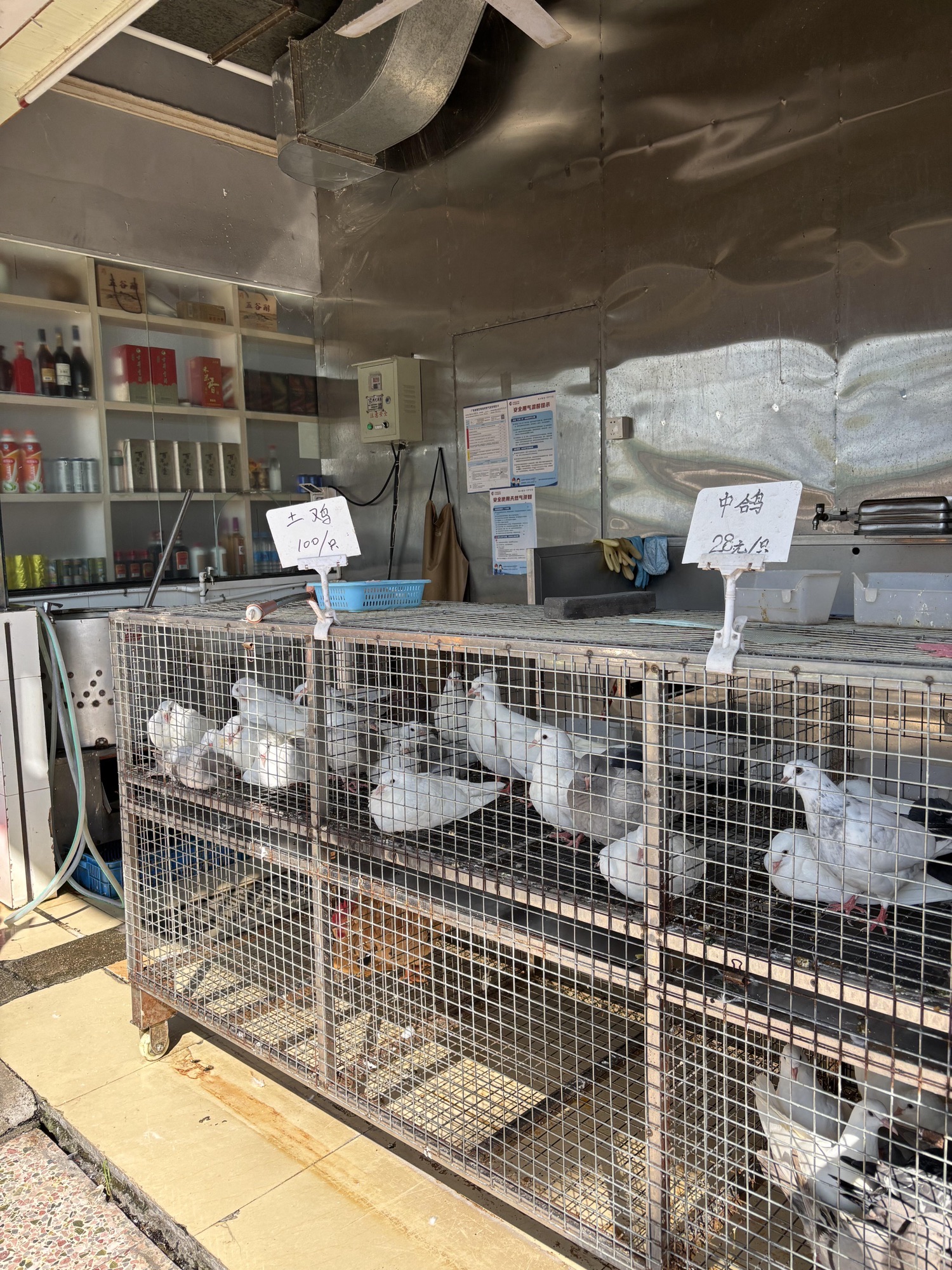 鸽皇餐厅(扶外路店)