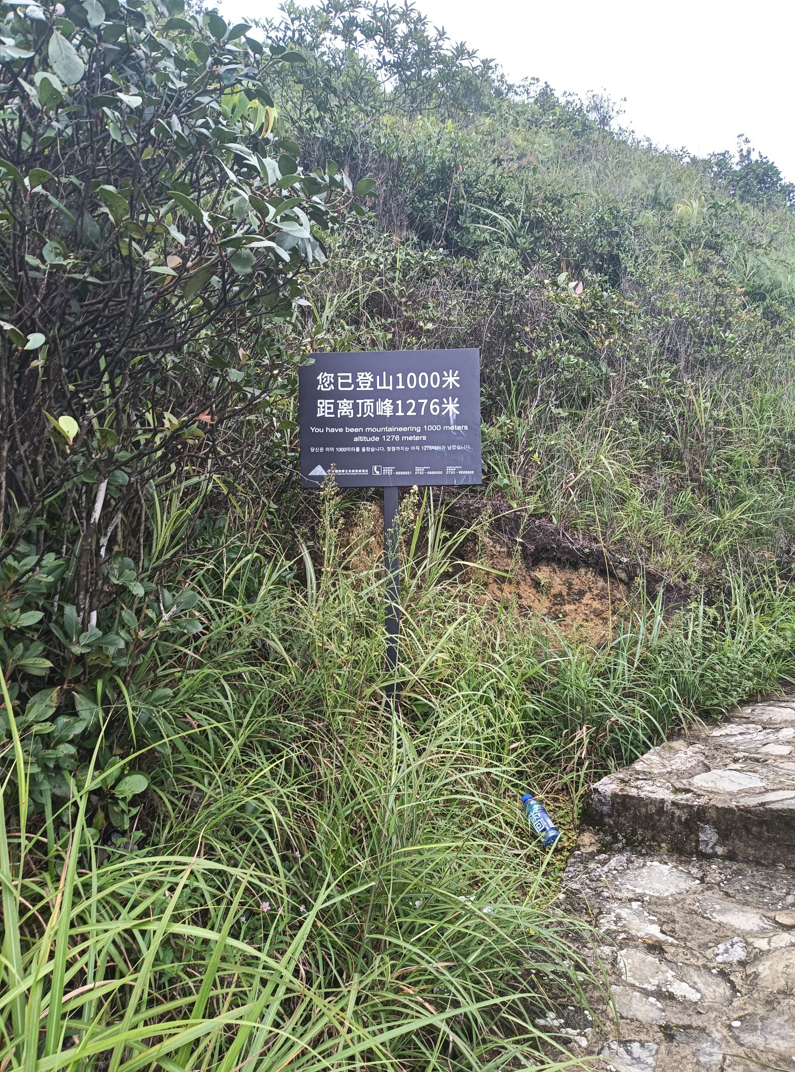 铜鼓峰风景区旅行图片 2