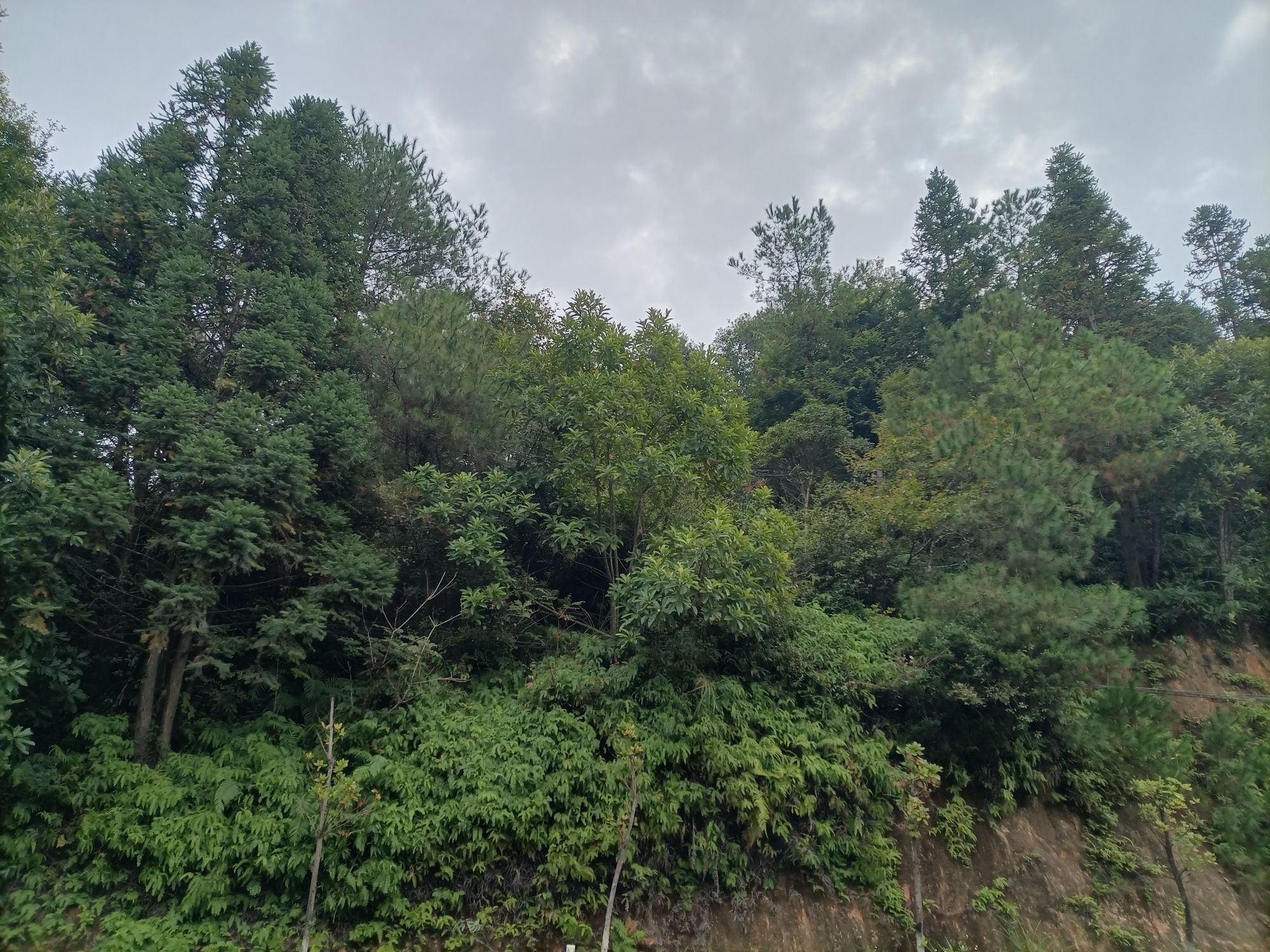 燕岩风景区(暂停开放)旅行图片 1