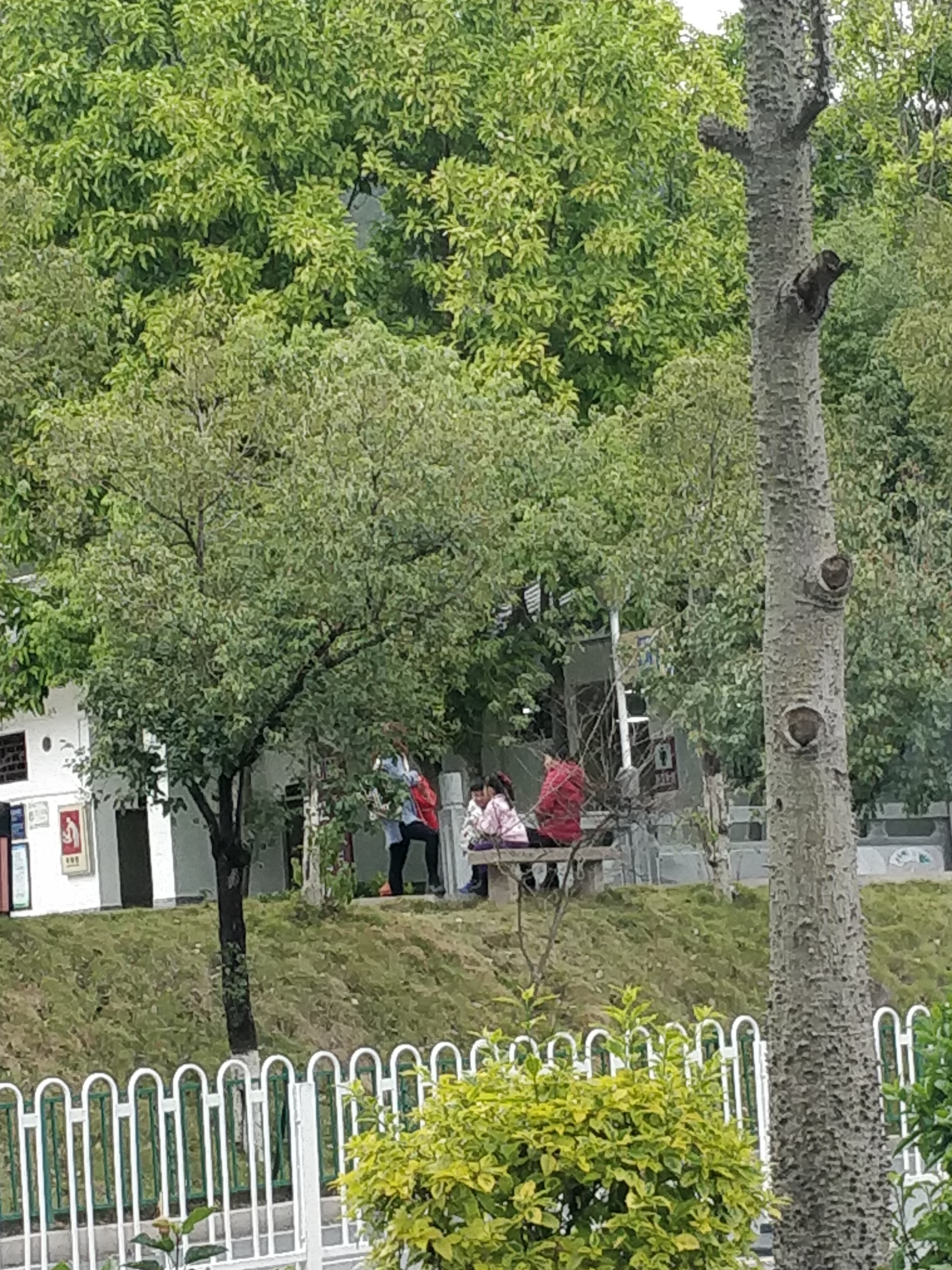 梅河公园旅行图片 2
