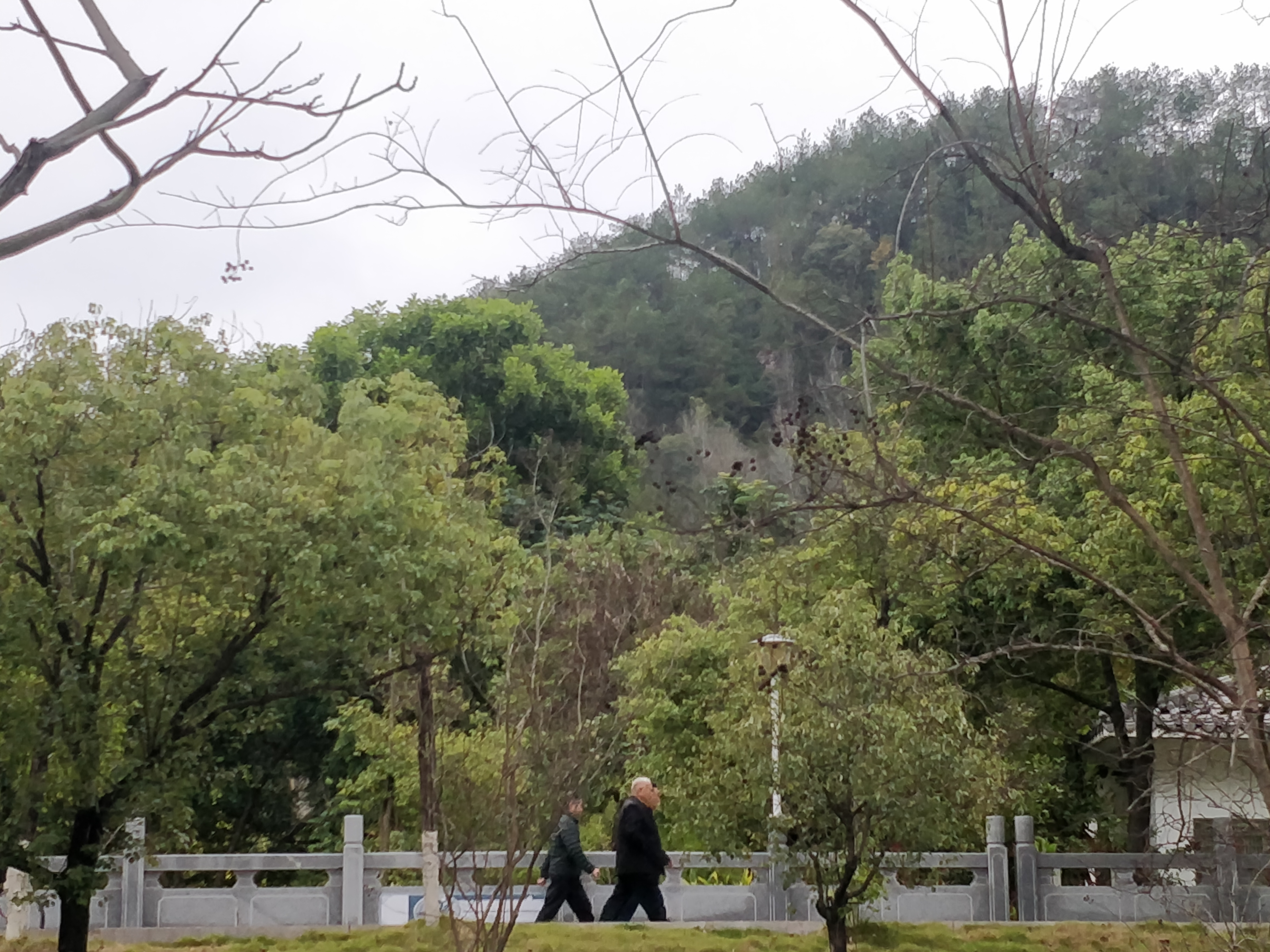 梅河公园旅行图片 3