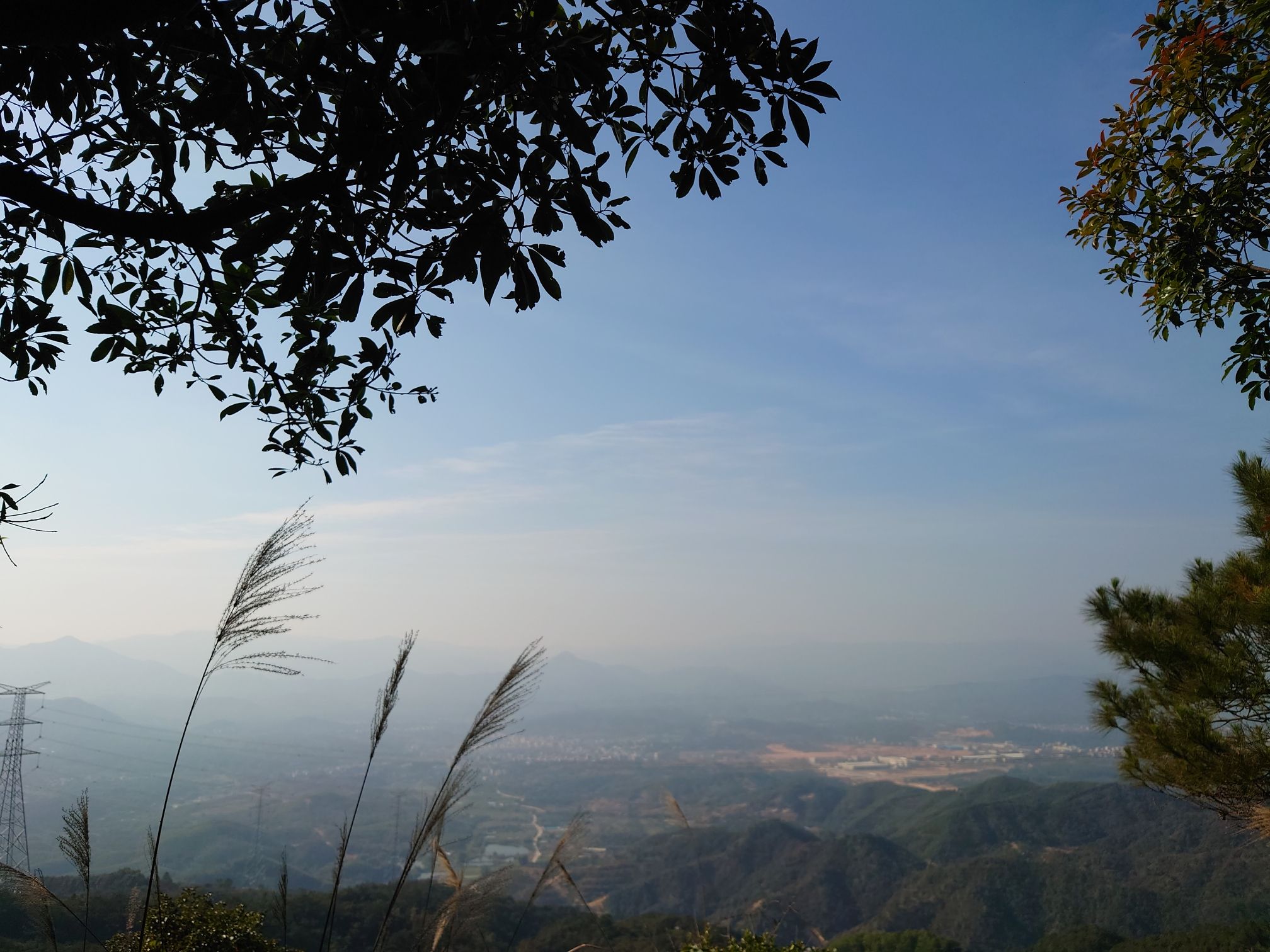飞龙岩