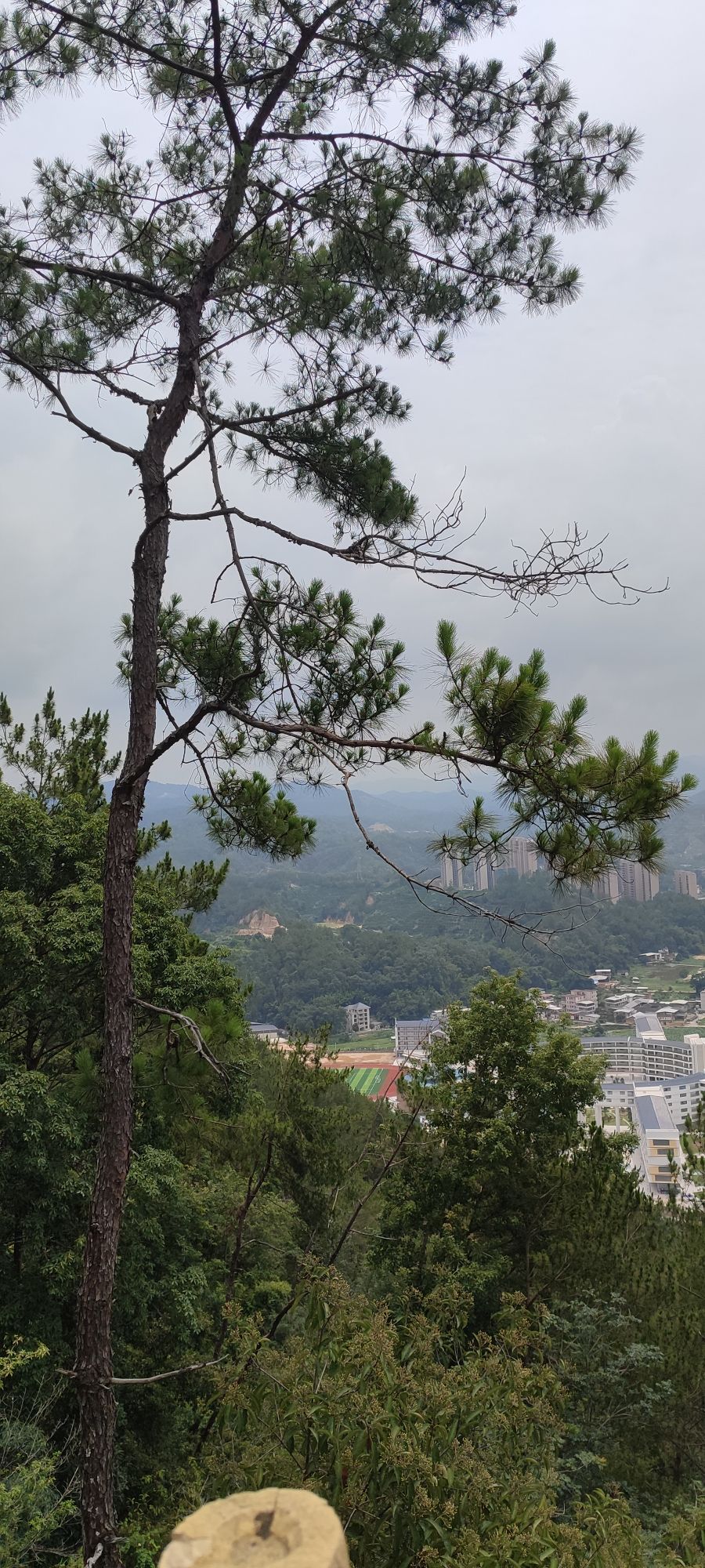 西岭中国书法公园旅行图片 2
