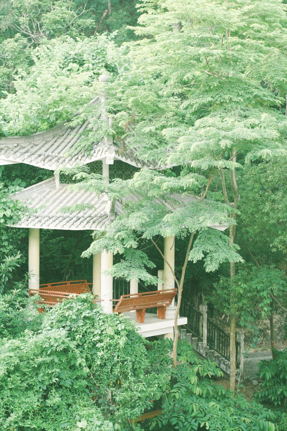 西岭中国书法公园旅行图片 2