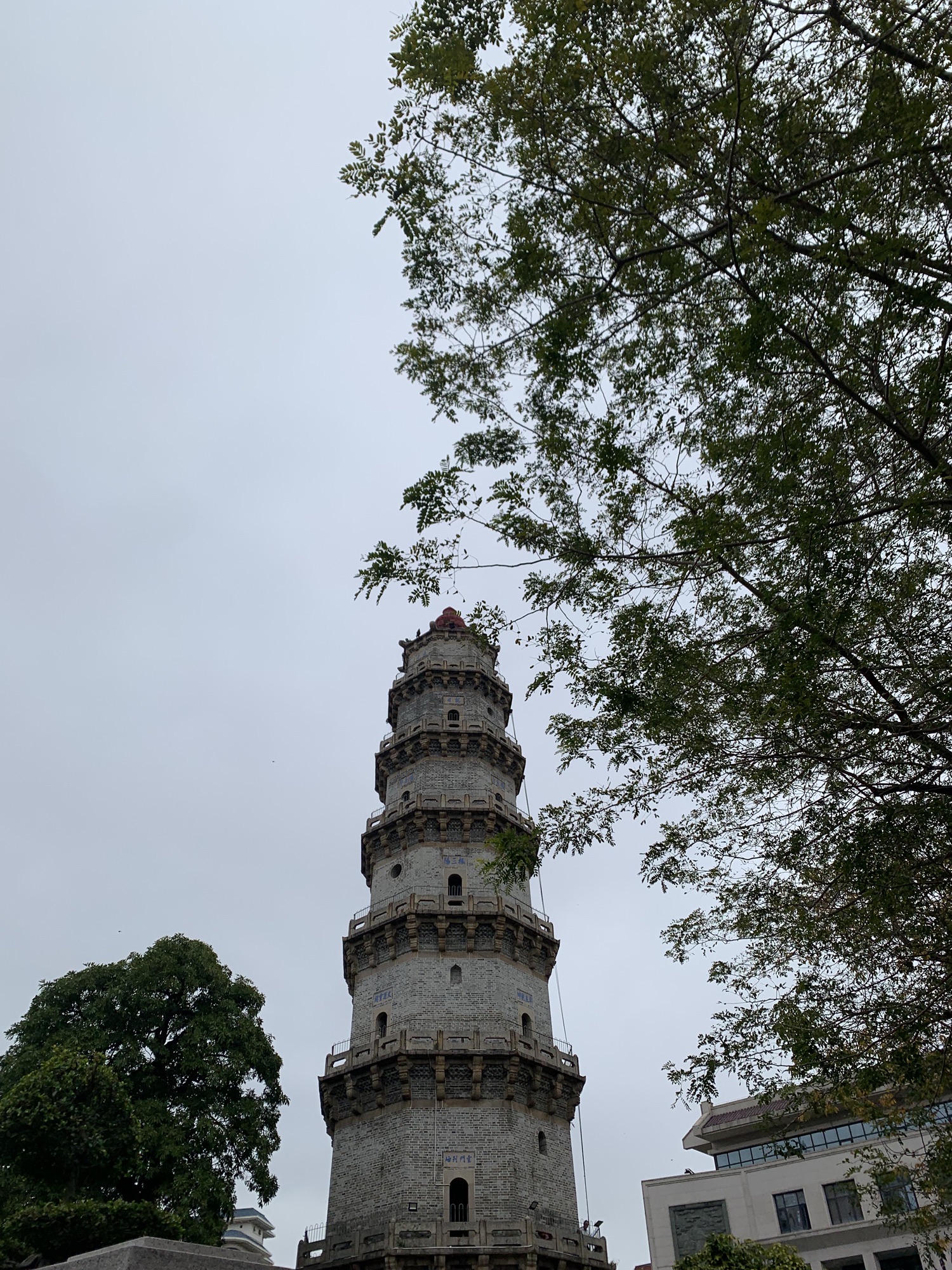文光塔旅行图片 1