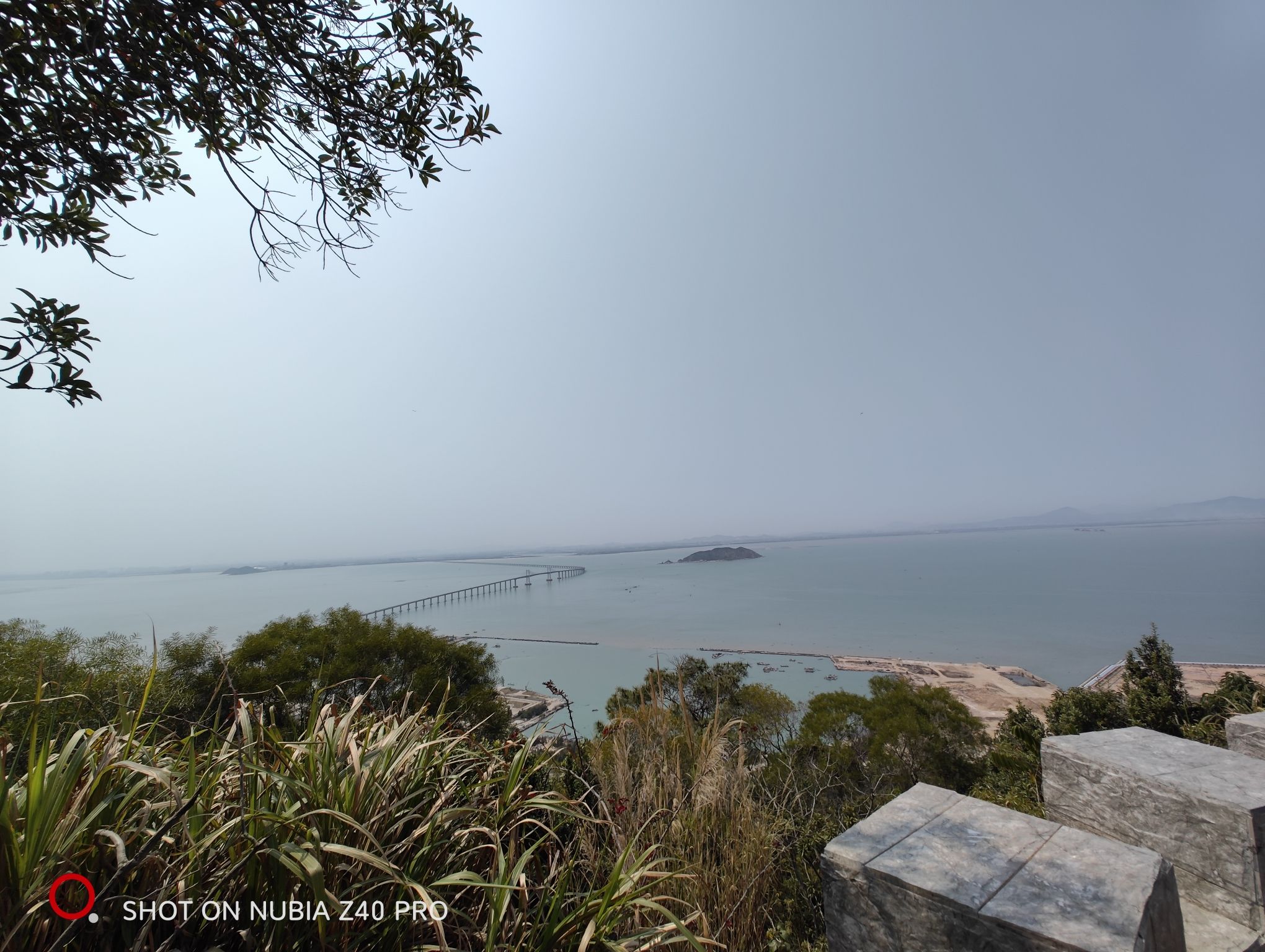 中旅(汕头)南澳黄花山景区旅行图片 1