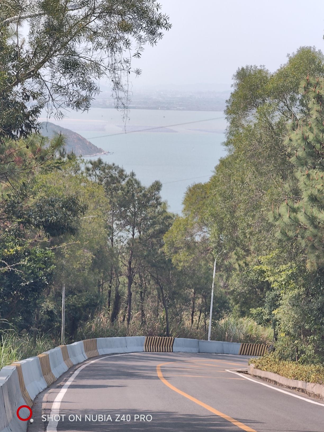 中旅(汕头)南澳黄花山景区旅行图片 2