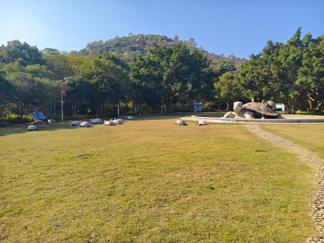 中旅(汕头)南澳黄花山景区旅行图片 3