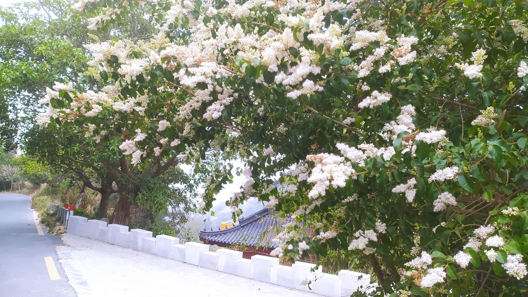 青云岩风景区旅行图片 2