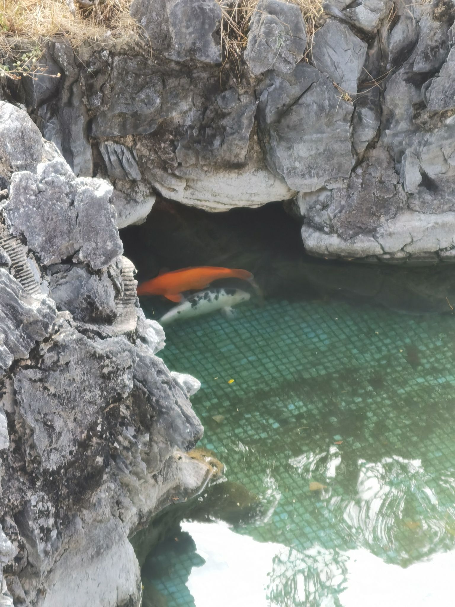 莲花峰风景区旅行图片 1