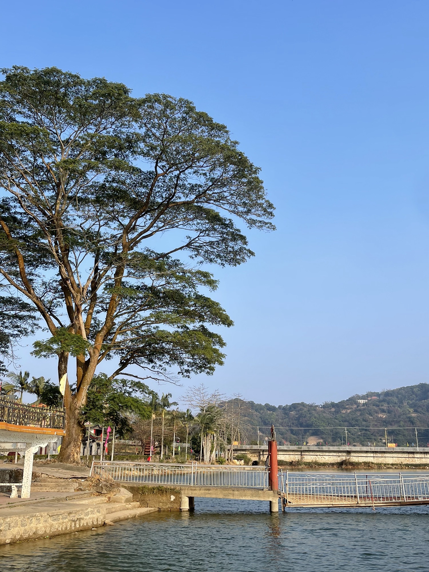 仙湖风景区旅行图片 2
