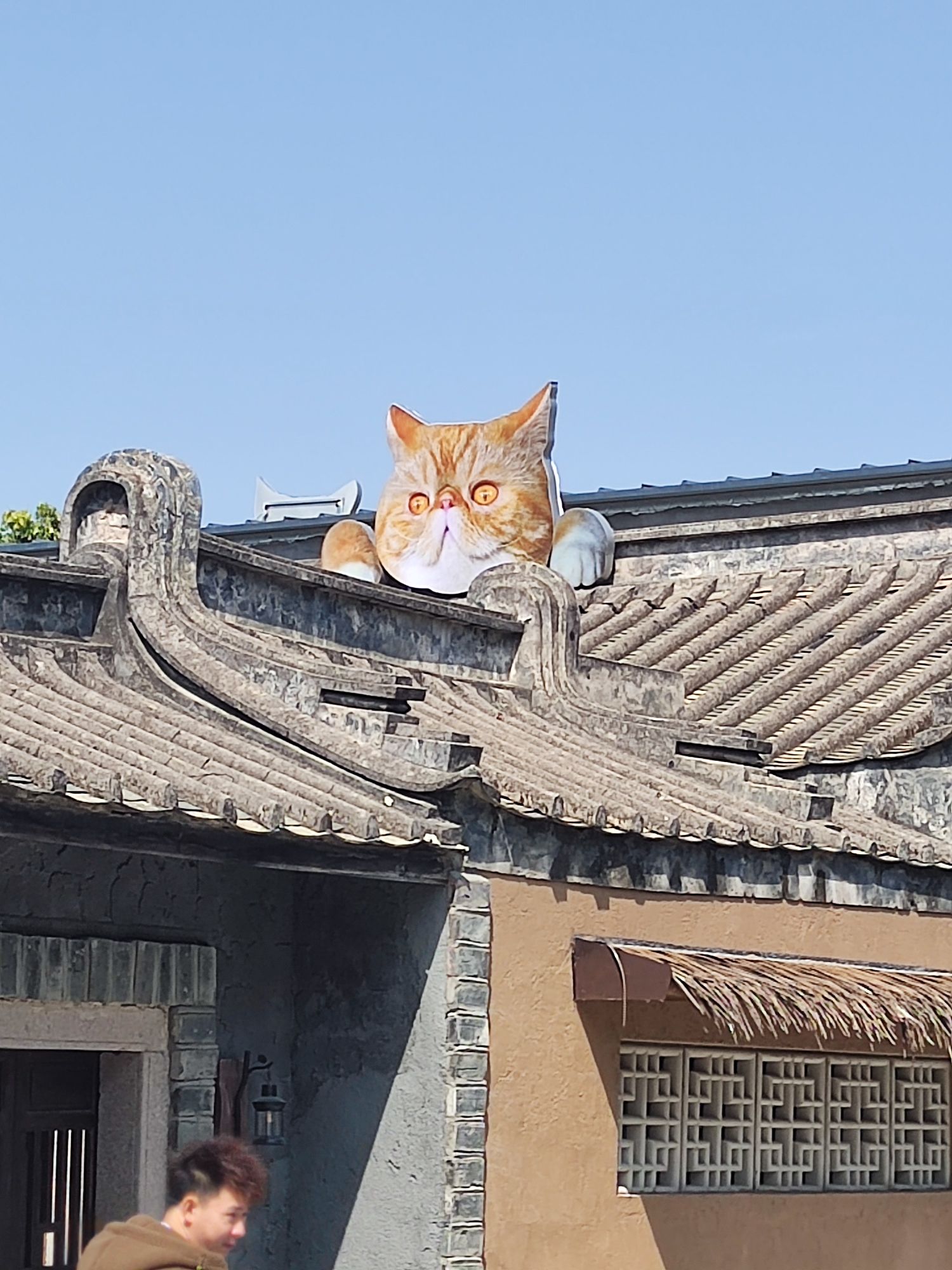 樟林古港旅行图片 1