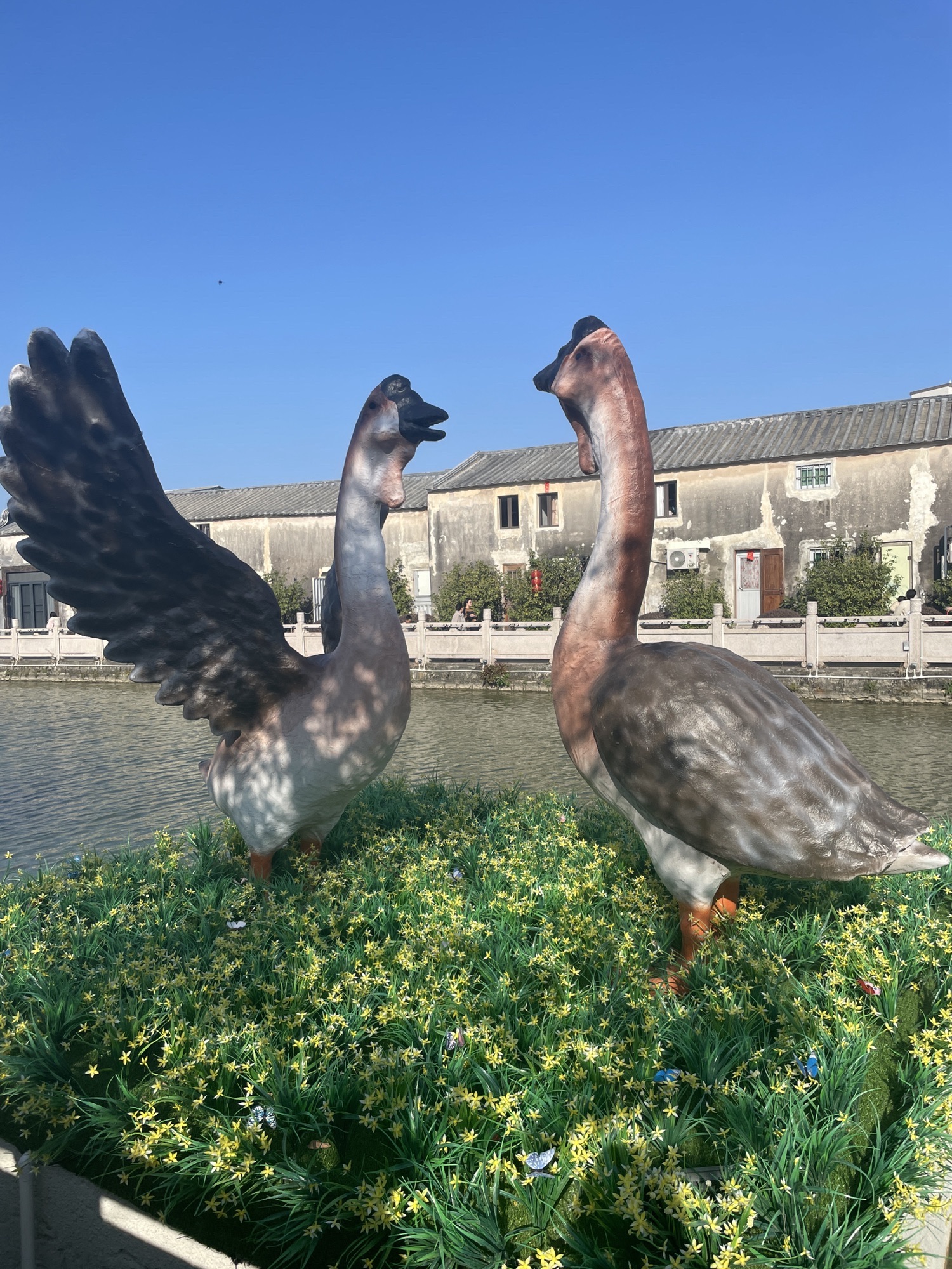 樟林古港旅行图片 2