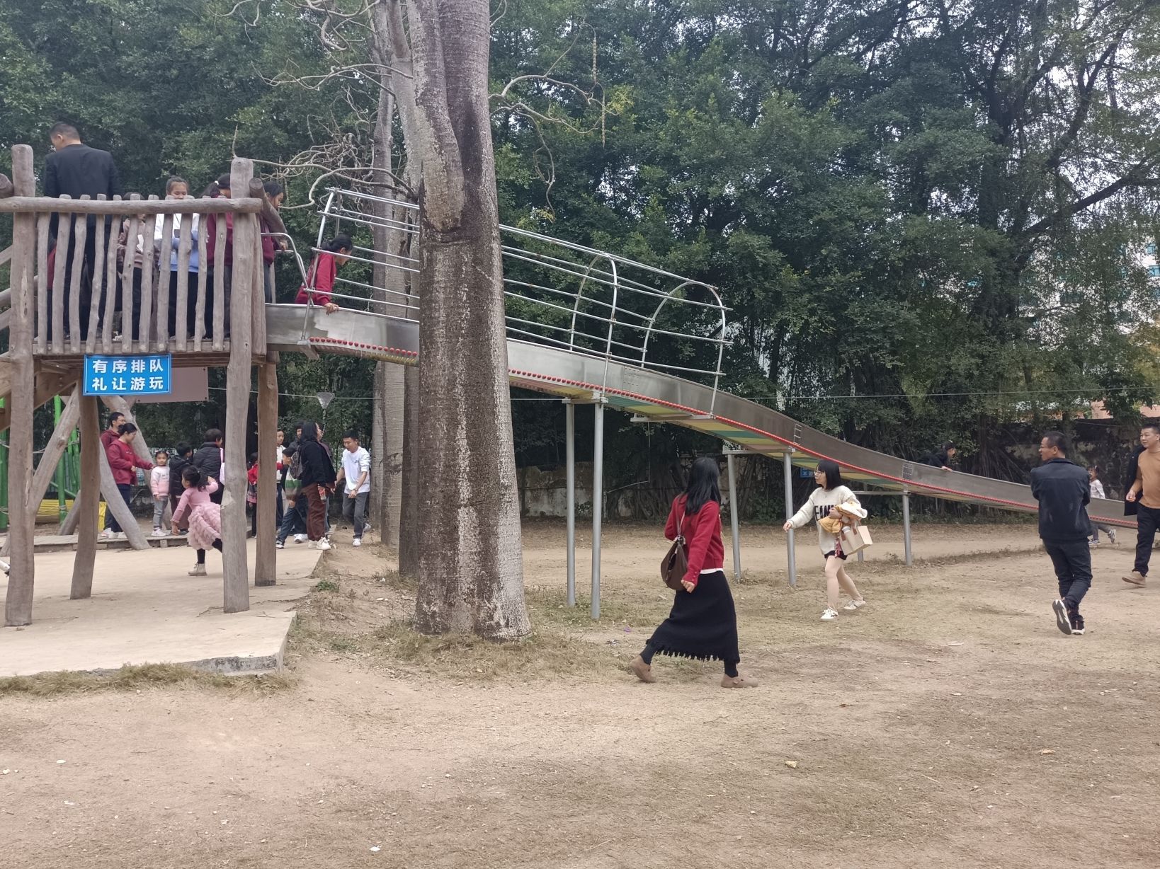 科隆千树园旅行图片 2
