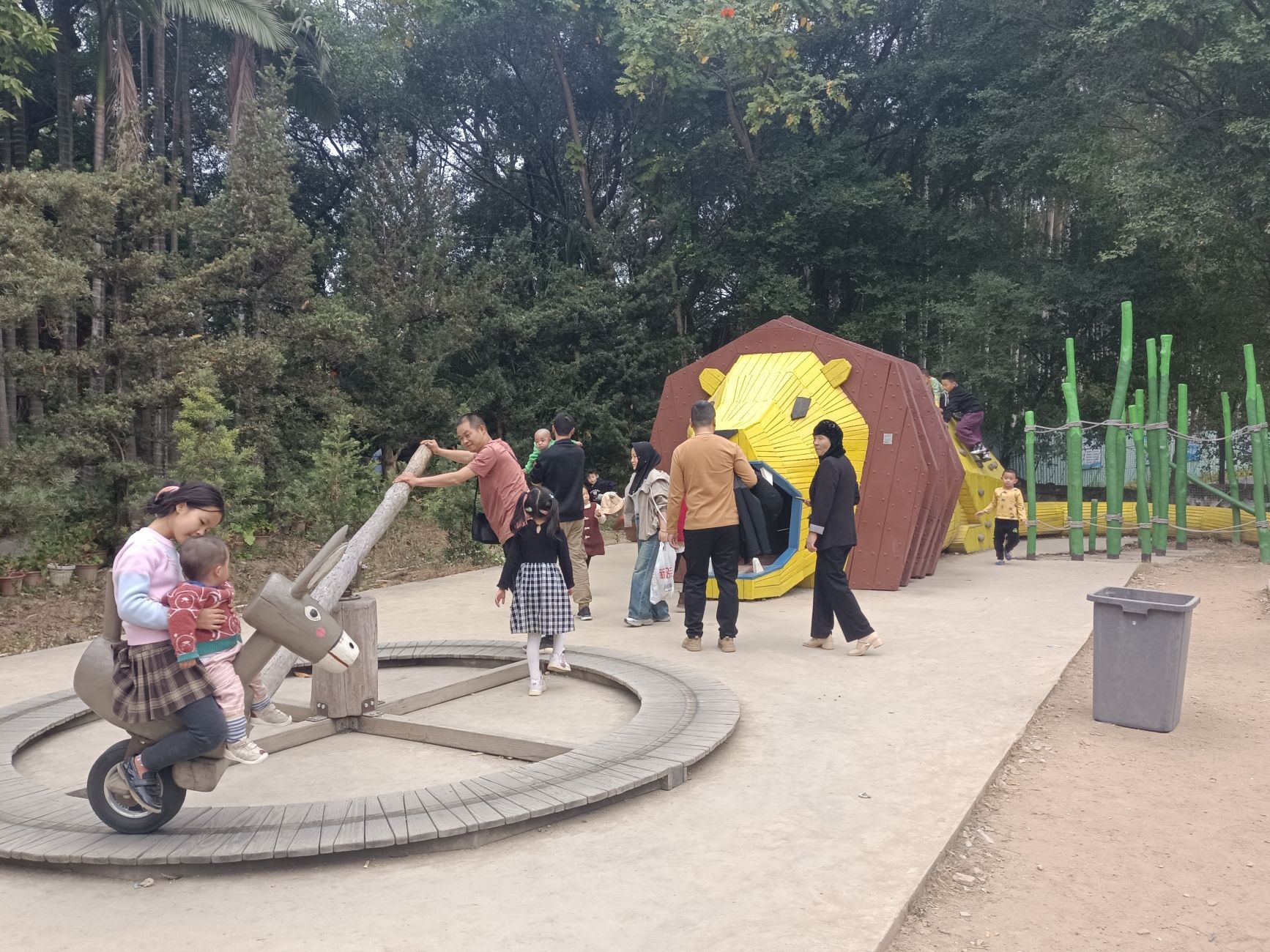 科隆千树园旅行图片 3