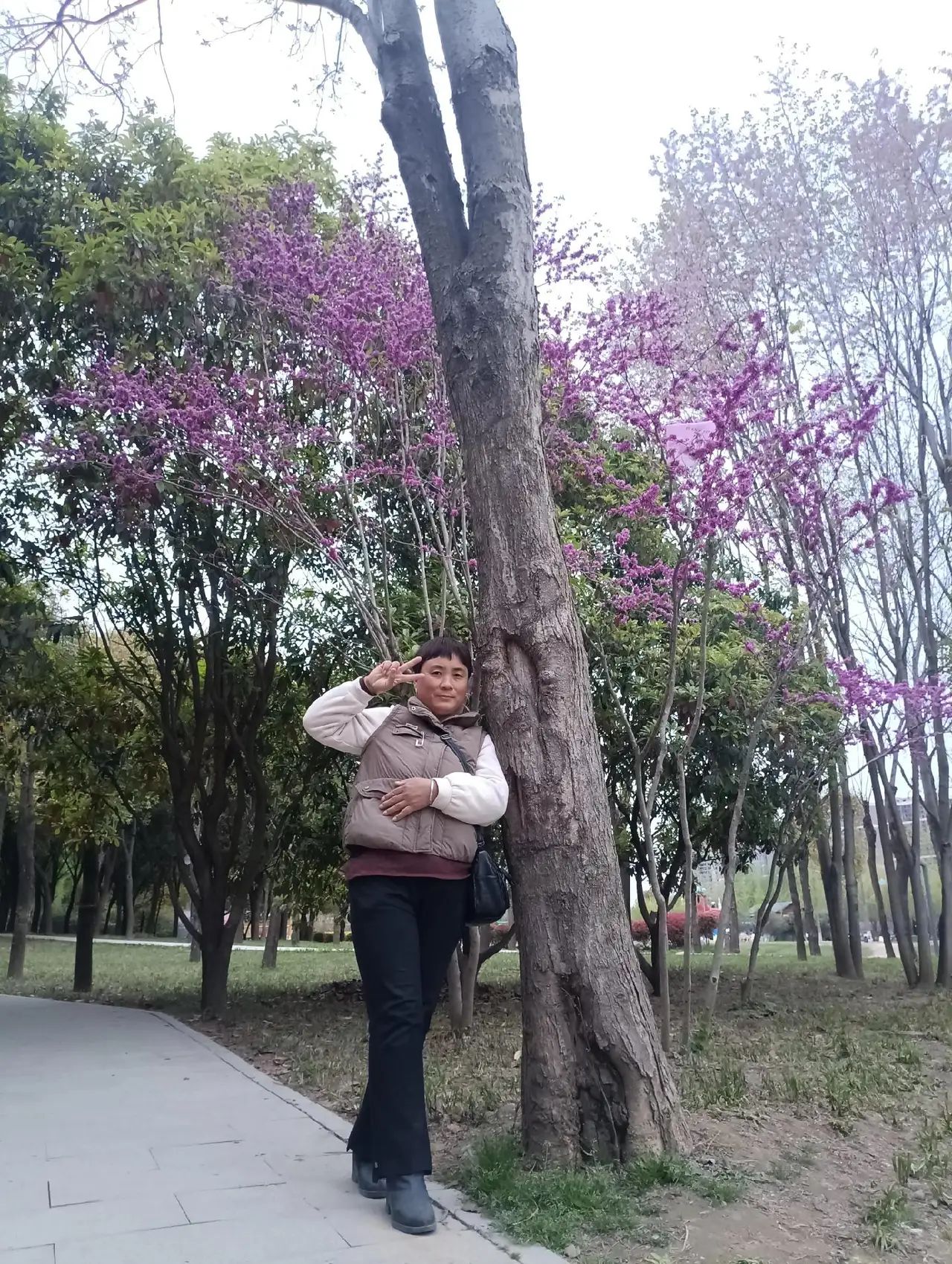 科隆千树园旅行图片 2