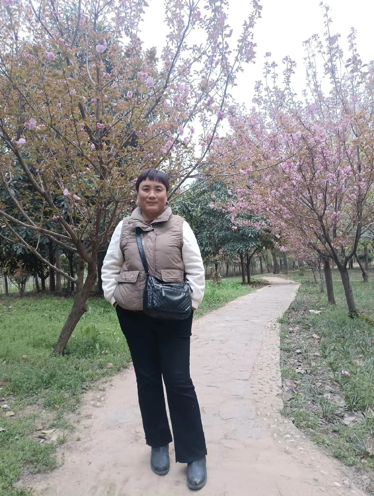 科隆千树园旅行图片 1
