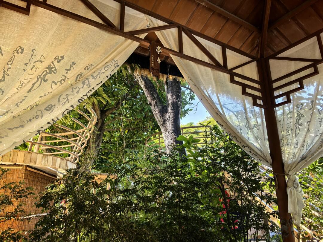 科隆千树园旅行图片 3