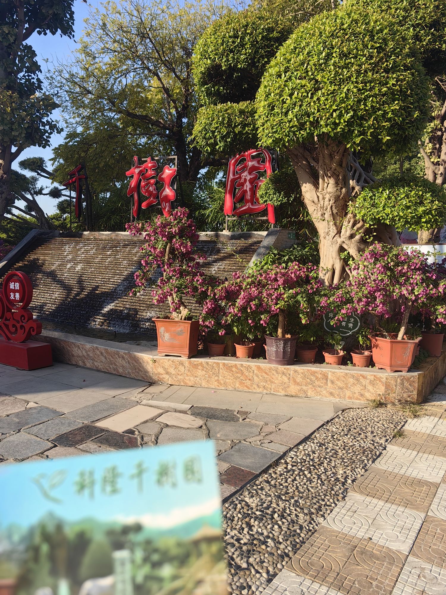 科隆千树园旅行图片 1